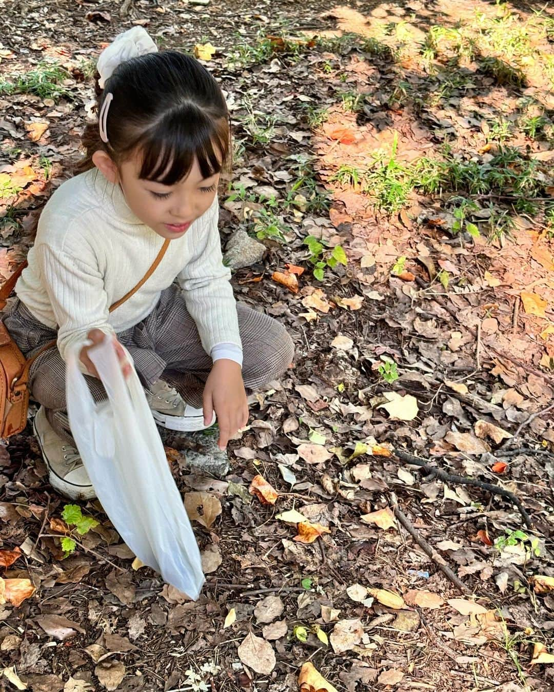 アレン明亜莉クレアさんのインスタグラム写真 - (アレン明亜莉クレアInstagram)「🤎🤎🤎  運動会があったので本日学校お休み〜 弟を幼稚園に送ってから森にやってきました☀️  松ぼっくり拾いをしています笑  幼稚園の先生に話していた時、松ぼっこりと言っていたので笑いました🤣  まだ言ってる🤣🤣🤣🤎  #松ぼっくり #松ぼっくり広い #子役 #モデル #アレン明亜莉クレア #めっちゃん #8歳」10月30日 10時29分 - mary.2015c