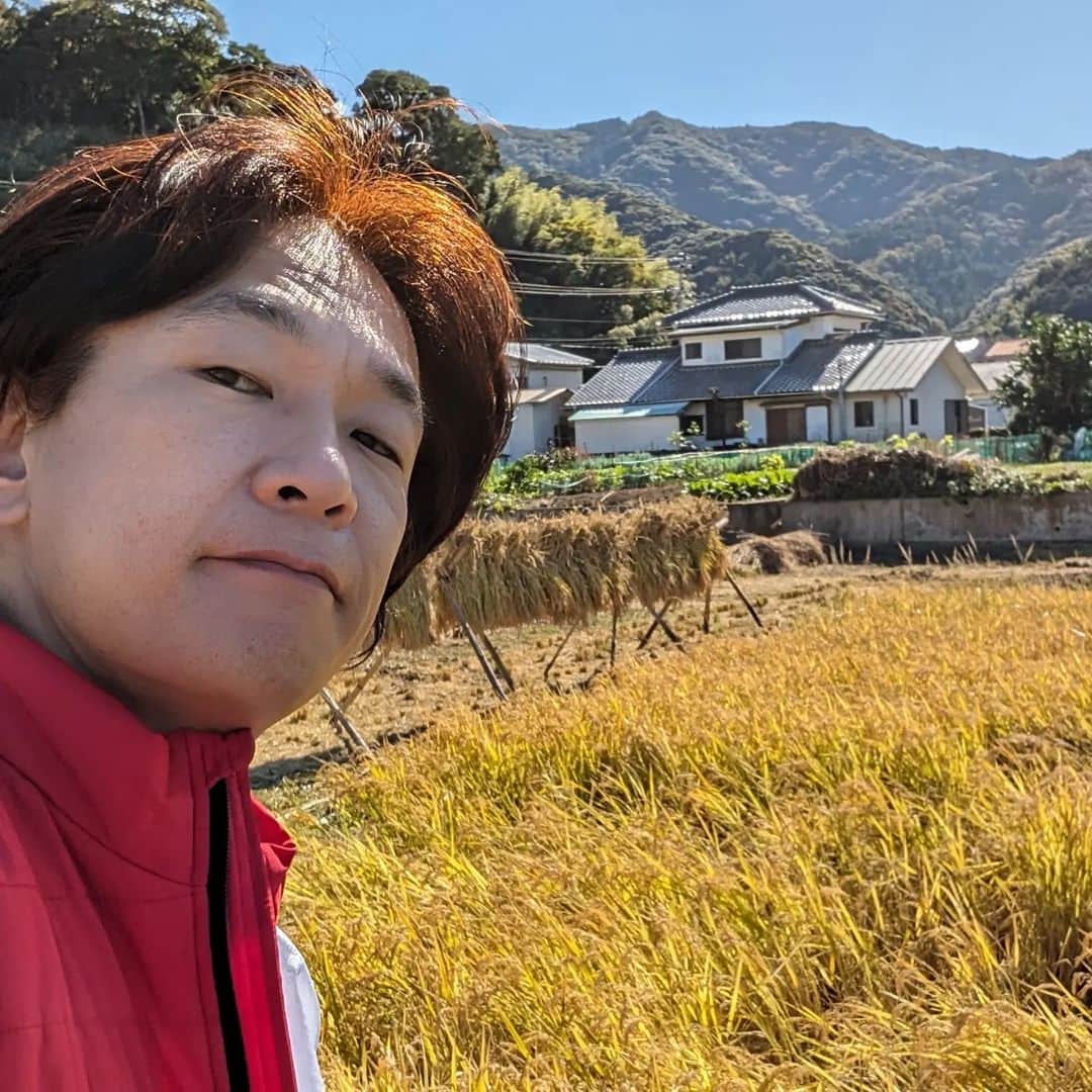 立川こしらのインスタグラム：「#稲刈りツアー2023」