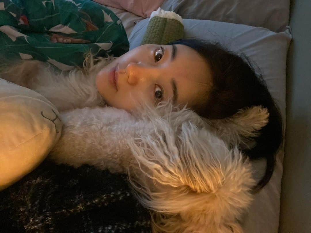 キム・サランのインスタグラム：「왜이렇게 자는 걸까요?난 너무 좋지만 🐶🐶🐶」