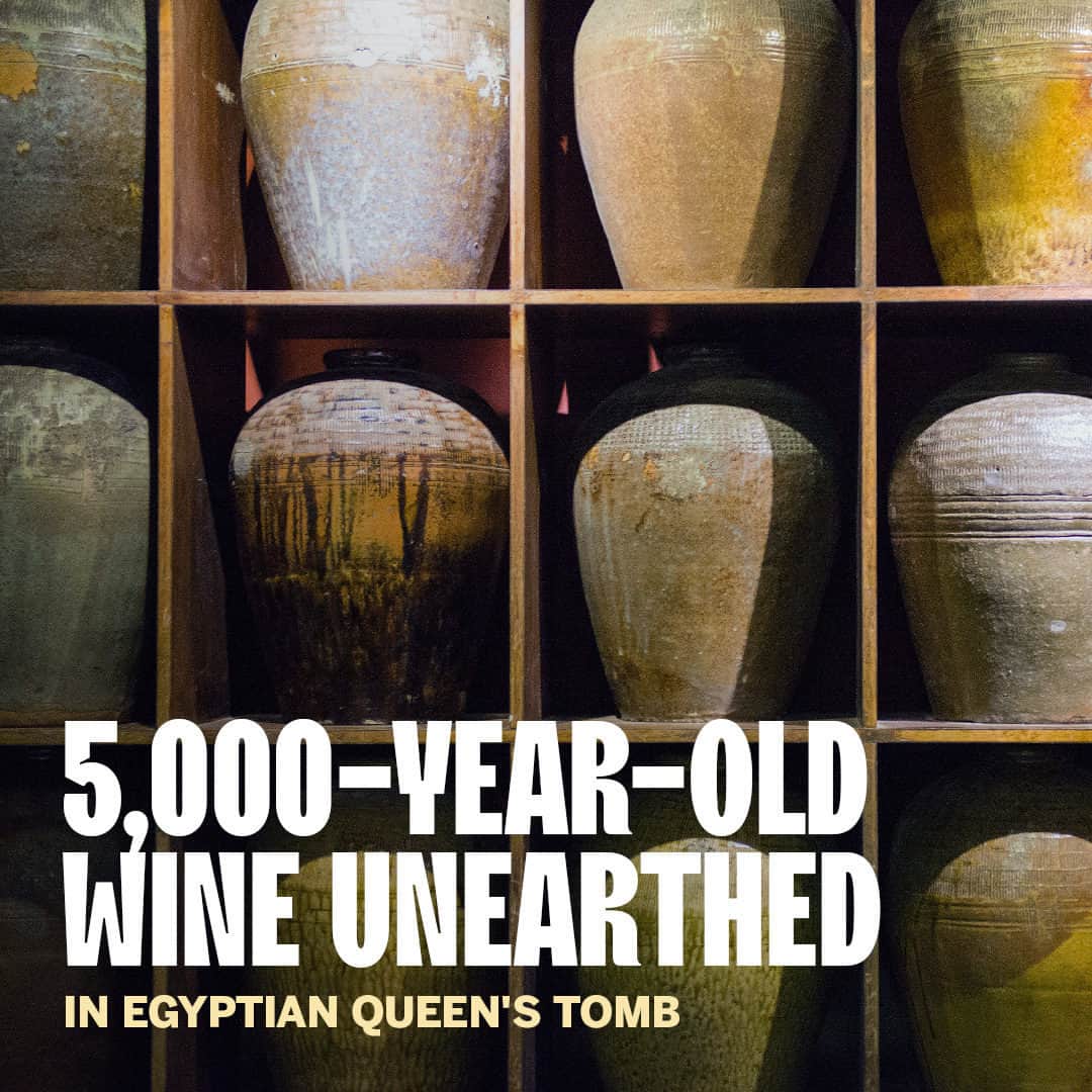 Food & Wineのインスタグラム：「Not only were many of the jars still sealed, but some actually contained the organic remnants of the now 5,000-year-old vino. Find out more at the link in bio. 📸: @gettyimages」