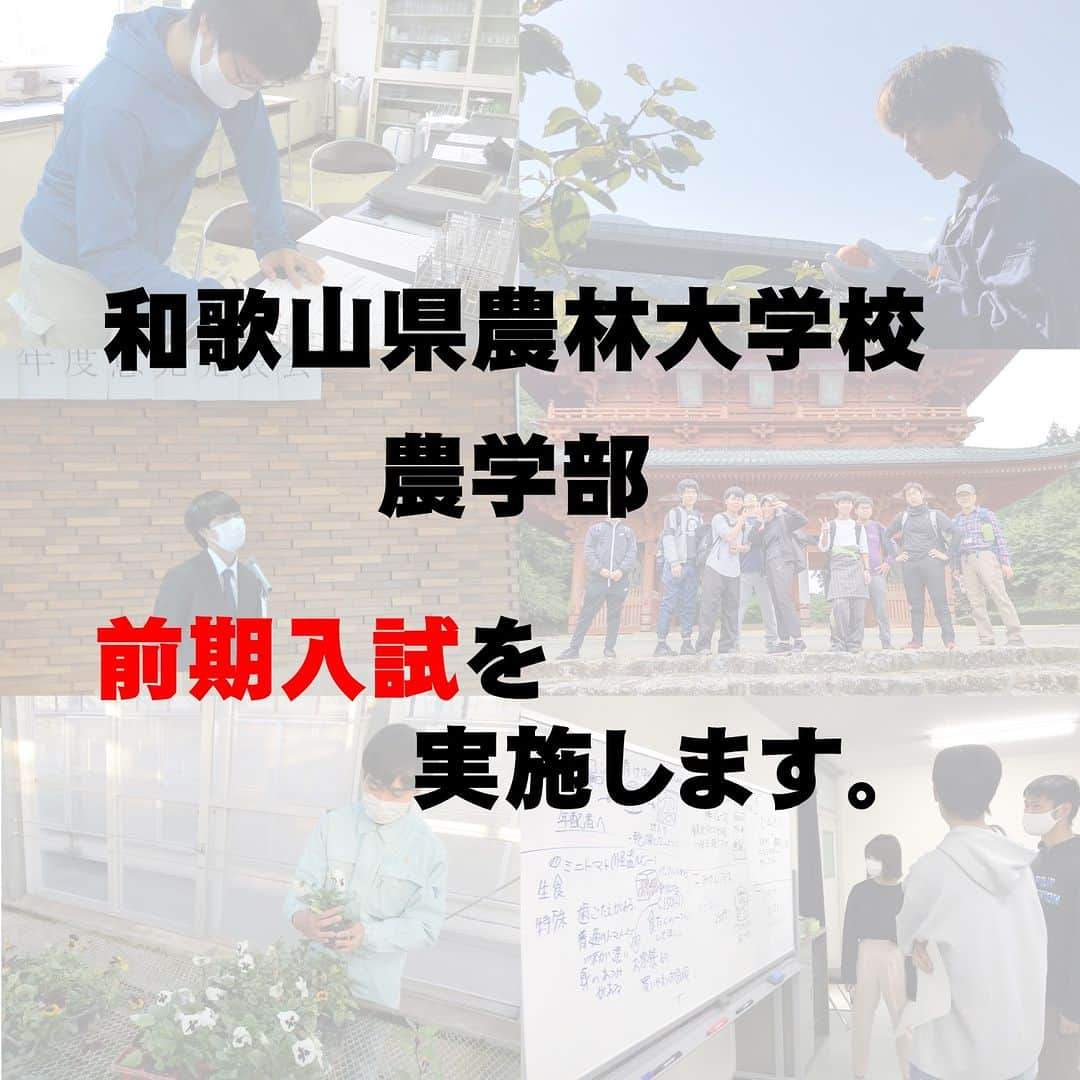 きいちゃんのインスタグラム：「. ／ 和歌山県農林大学校農学部　学生募集！ ＼  11月29日（水）に一般入学試験（前期）を実施します まもなく願書受付開始！（11/10～）  和農林大なら、農業の基本から先進的な技術まで学べる！ 農産物の加工や店舗運営、商品デザインも学べる！  和歌山県の農業に興味がある方、やってみたいことがある方のチャレンジをお待ちしています ▽詳細はこちら▽ https://www.pref.wakayama.lg.jp/prefg/nourindaigaku/jukennseinokatahe.html  #和歌山　#農業　#入学試験　#入試　#学生募集　#農業好きな人と繋がりたい　#新規就農　#農家」