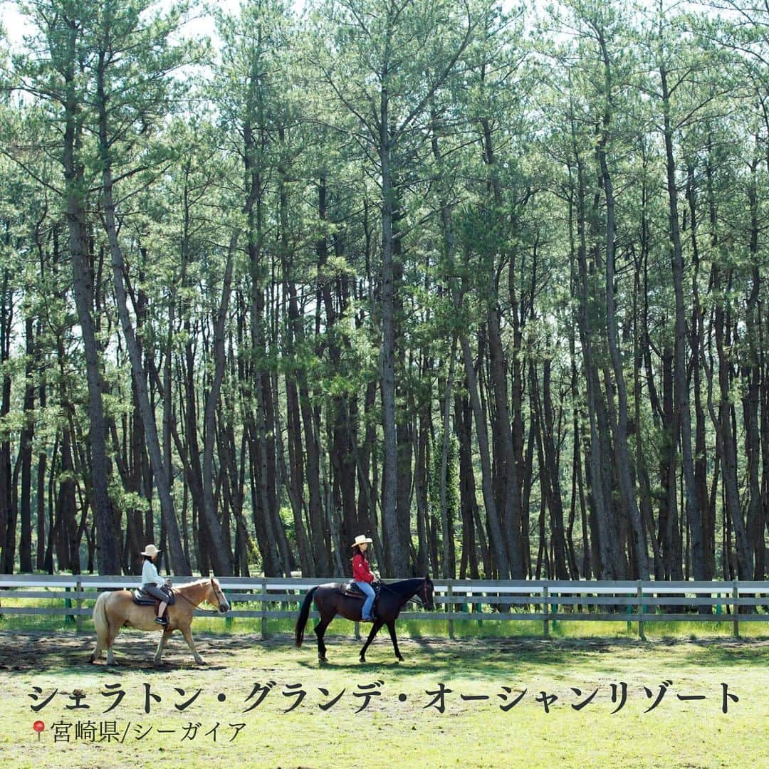 一休.com公式アカウントさんのインスタグラム写真 - (一休.com公式アカウントInstagram)「【全国】アクティビティを楽しめる宿 9選  いつも一休.comをご利用いただきありがとうございます。  大人の知的好奇心を満たすのにぴったりなアクティビティ体験。その土地だからこそ得られる学びや、発見。今回はスポーツ、アート、自然、伝統などの上質なアクティビティを楽しめる宿9選をご紹介いたします。  📍宮古島東急ホテル＆リゾーツ 世界屈指の透明度を誇る宮古島の海をすぐそばで感じられるアクティビティが満載。 ボートシュノーケルで珊瑚や魚たちを観察、ホテル前のビーチではサップやカヤックを。  📍シェラトン・グランデ・オーシャンリゾート 気軽に乗馬体験ができる「シーガイア乗馬クラブ UMAIRU」では"引き馬コース"や、馬に乗って海岸沿いを散策できる"外乗シービューコース"をご用意。 その他リラクゼーションやセグウェイ、ゴルフ、季節によってはイルミネーションやSUP、打ち上げ花火など、コンテンツ盛りだくさん。  📍Winerystay TRAVIGNE 「ワイナリーツアー」は、ぶどう畑や醸造棟、樽熟成庫、セラーを巡り、ワイン造りへの想いやワインの可能性について等のお話も聞くことが可能。 ツアーの後には、テイスティングも。  📍ザ・リッツ・カールトン日光 「朝の座禅」「ホテルアートツアー」「奥日光の星空観察」。 春～秋には中禅寺湖での「SUP エクスペリエンス」、冬は「スノー・ハイキング」等、四季ごとの自然を思う存分に。  📍ザ・ウィンザーホテル洞爺　リゾート＆スパ ご出発前から入念に滞在中のすべてをオーダーメイド。 ベストロケーションでの「星空観察」、押し寄せる雲海を間近に堪能できる「雲海ツアー」、プールやスパ、ゴルフに様々な要望に叶えることができる場所。  📍日本の宿　古窯 1,300年前の窯跡に建つ山形の宿で、楽焼絵付けを体験。 館内の楽焼画廊でご覧頂ける各界の著名な方々の作品は、まさに人のご縁に恵まれ愛されてきた古窯の歴史そのもの。  📍COVA KAKUDA カヤック、スタンドアップパドル(SUP)、薪割体験、トレッキングなどの「動」の体験と、 薪サウナ、草木染め、英虞湾クルージング、星のソムリエによる星空観察などの「静」の体験。  📍HOTEL THE MITSUI KYOTO 京都の歴史と文化、自然を体験できる多彩なアクティビティ。 茶居にて立礼式のお点前を提供する「茶居で味わう一服のお茶」、「和菓子作り体験」、アート作品をめぐる「アートツアー」等で大人の遊び時間を。  📍高野山　別格本山　總持院 広々とした沐浴場で体を清めた翌朝は、本堂で行われる朝6時の早朝勤行や写経体験へ。 仏に包まれた空間で、心の安らぎを取り戻しながら、心地よい時間を過ごす。  ※一休.comでの予約可否に関わらずご紹介しております。在庫状況によってはご予約いただけない場合がございます。  ——————— #ikyu_travel をつけて、今までのホテル・旅館での思い出を投稿してください！ ※お写真や動画を一休.comのサイトにてご紹介させていただく場合がございます。 ———————  #こころに贅沢をさせよう #一休 #一休com #旅行好きな人と繋がりたい #Japan #Travel #Travelstagram #SUP #アクティビティ #スポーツ #ゴルフ #ワイナリー #ツアー #スパ #リゾート #ビーチ #カヤック #シュノーケル #クルージング #ハイキング #トレッキング #アート #雲海 #自然 #乗馬 #茶道」10月31日 18時00分 - ikyucom