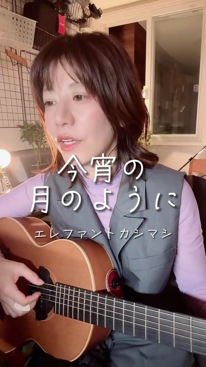 サトウヒロコのインスタグラム：「#今宵の月のように #エレファントカシマシ の曲  弾き語りアーティスト シンガーソングライター サトウヒロコです！  全曲配信スタート‼️  ＋＋＋＋＋＋＋＋＋＋＋＋＋＋＋  ■ラジオ▶︎CRT栃木放送 毎週日曜20:00〜 『サトウヒロコ de SHOW Neo!!』  ■テレビ『とちブラ』 各放送局でOnAir ▶︎KBS京都 ▶︎東京MX ▶︎とちぎテレビ ▶︎群馬テレビ ■その他▶︎YouTube で動画公開中！ プロフィールページのリンクから！  ＋＋＋＋＋＋＋＋＋＋＋＋＋＋＋  ■サトウヒロコホームページ リニューアルしました！ http://cume.co.jp/satohiroko  ■あなただけの歌、あなたのための動画　作ります！ 　音楽、映像の制作は株式会社cumeへ http://cume.co.jp/  ＋＋＋＋＋＋＋＋＋＋＋＋＋＋＋  #歌ってみた #サトウヒロコ #シンガーソングライター #シンガー #ミュージシャン #弾き語り #音楽 #音楽好きな人と繋がりたい」