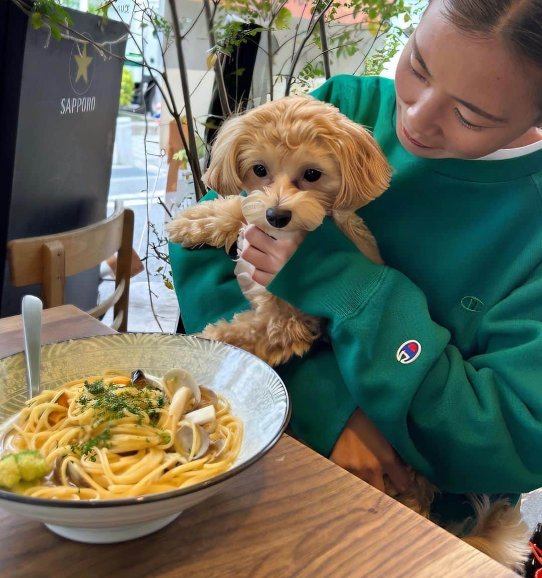 川島はるなのインスタグラム：「. . @hachidaime_fushisoundo さんでランチ🍝☕️ 美味しすぎました🥹💙 メニューが豊富でパスタ以外にも沢山あったので 何回も通いたくなっちゃいます🤭❤️ ワンちゃんも一緒に行けるっていうのもポイント🐶💡 . . 着用トレーナーは @champion_japan 💚 . . #八代目伏見双雲堂 #橋本 #championjp #PR」