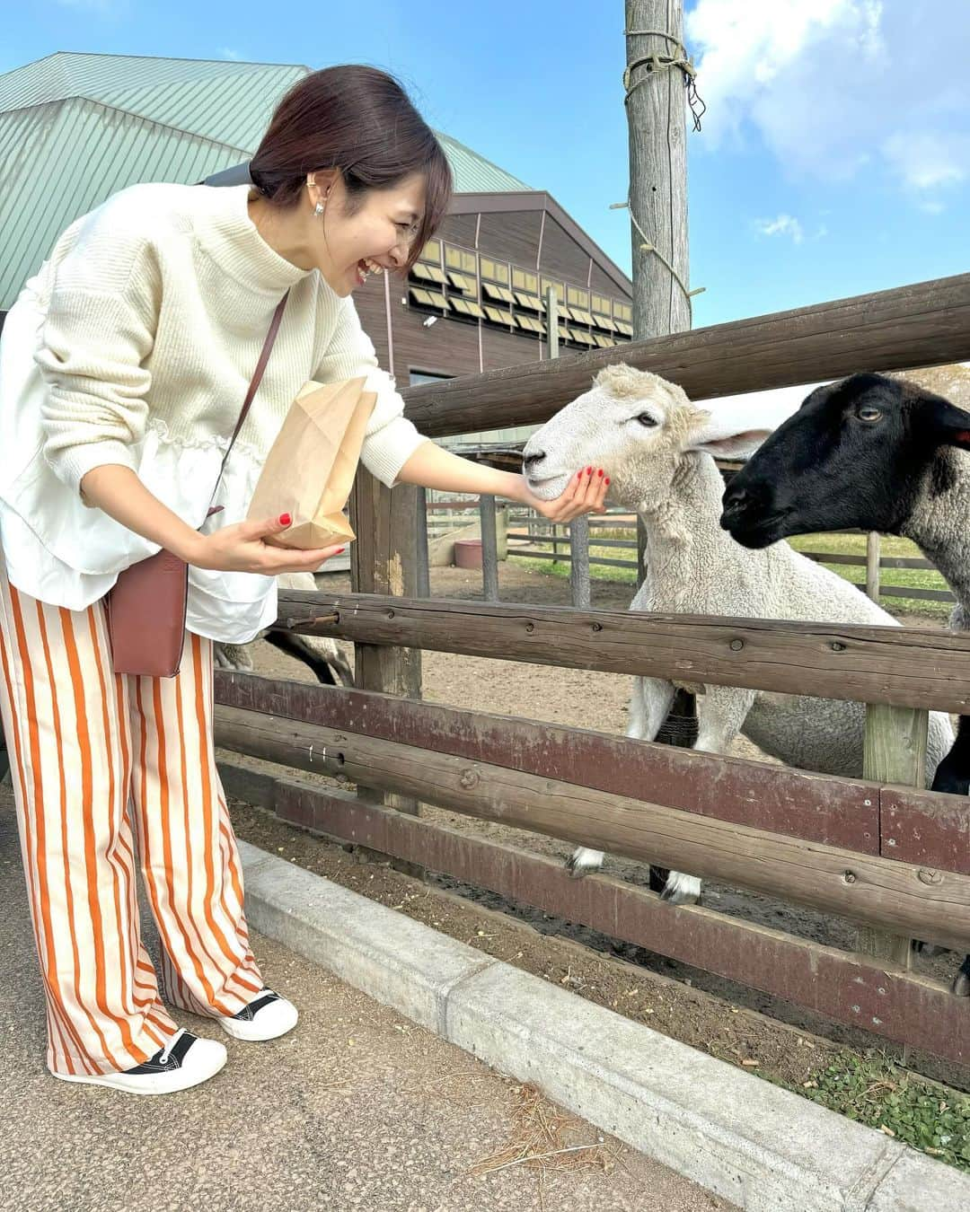 AMIのインスタグラム：「🐏🐏🐏 鼻息あったかくて可愛い  家族旅行たのしかった🐄🏝️🩷」