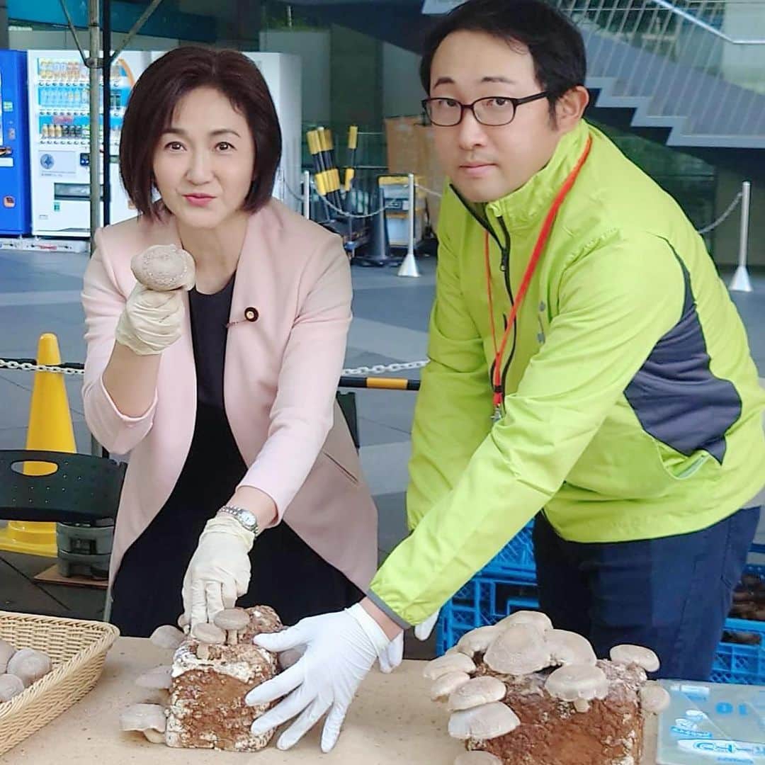 生稲晃子さんのインスタグラム写真 - (生稲晃子Instagram)「JA東京「味わいフェスタ2023」に行ってまいりました❗️ JA東京青壮年組織協議会「東京やさい畑」には、様々な東京産農産物が生き生きと育っていました🥦🍆🥬 大消費地東京の中で、農業生産を行い、新鮮な農産物を提供してくださっている皆さんのお話は大変貴重でした。 これからも都市農業をしっかりお支えしていきます😊  #ja東京味わいフェスタ2023 #ja東京青壮年組織協議会  #都市農業 #生稲晃子」10月30日 12時12分 - akiko__ikuina