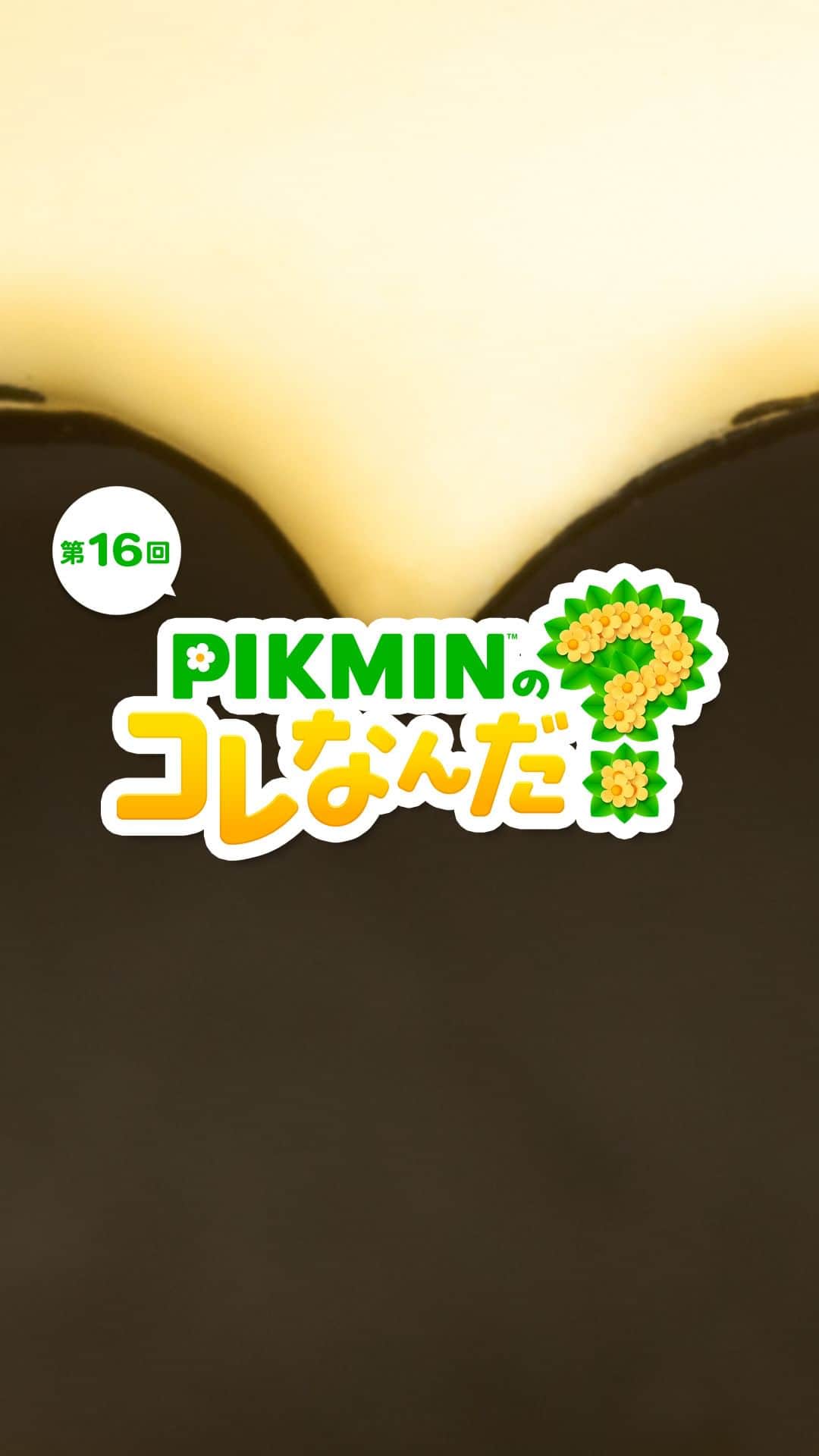 任天堂のインスタグラム：「「PIKMINのコレなんだ？」第16回  ピクミンたちが見つけたものはなんでしょう？  #ピクミン #pikmin #これなんだ #NintendoSwitch #Nintendo #任天堂」