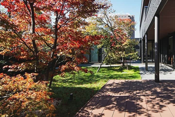積水ハウスのインスタグラム：「. ウチとソトの居場所の繋がりを考えた住空間🍂  住宅街の中で紅葉や緑に囲まれて 別荘のように過ごす気持ちよさ。 大間口でウチとソトをつなげ、開放感を演出。  本日は @designoffice_by_sekisuihouse から 四季折々の表情を楽しめる住空間をお届けしました。  #積水ハウス #sekisuihouse #DESIGNNOFFICE #デザインオフィス #中庭」