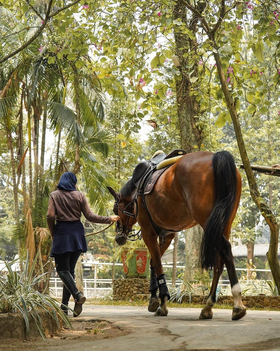 Zaskia Sungkarさんのインスタグラム写真 - (Zaskia SungkarInstagram)「Big girl big dreams 🐴❤️ #masyaAllahTabarakallah」10月30日 13時23分 - zaskiasungkar15