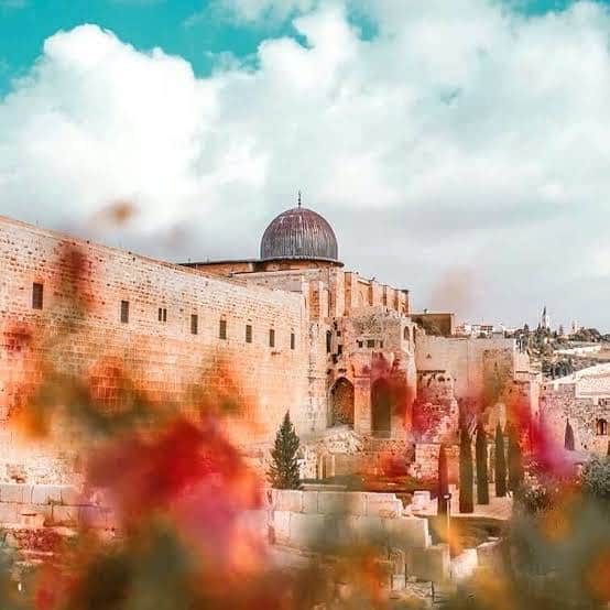 Zaskia Sungkarさんのインスタグラム写真 - (Zaskia SungkarInstagram)「ALLAHU AKBAR! TEMBUS 1M 🇵🇸  Maa Syaa Allah Tabarakallah, 5 hari terkumpul 500juta, namun kemarin lebih deras mengalirnya, dalam sehari semalam 500jt. Jadi saat ini terkumpul total 1M++  Jazakumullahu khayraan, Bapak, Ibu, dan teman-teman semua yang sudah ikut berjihad dalam hartanya, membantu meramaikan postingan, menyebarkan informasi donasi ke keluarga dan sanak saudara seraya melangitkan doa untuk saudara-saudari kita di Gaza.  Lagi-lagi, kalau bukan karena taufik dari Allah yang menyentuh hati kita, yang membuat hati kita basah, tidak keras dan enggan bungkam terhadap nasib mereka, 12 rb lebih orang donatur tidak akan mudah terkumpul 😢😢😢 ini salah satu nikmat teman-teman, kita bersyukur dan terima kasih juga kepada Allah, telah menghadirkan perasaan ini 🙏🏻  Pak, Bu, teman-teman semua, Ini masih mau lanjut digaskeun? Dari @kitabisacom masih kasih waktu untuk buka 86 hari lagi. Kalau masih terus, kita lihat bareng ya, Pak, Bu, dan teman-teman semua, berapa kali lipat lagi keajaiban & keberkahan nambahnya? Karena in syaa Allah, saya yakin, Pak, Bu… kaum muslimin itu kuat, kemanusiaan itu hebat. Masih banyak yang punya niat mau bergabung tapi belum sempat. Biidznillah…   Semoga Allah mudahkan ikhtiar kita semua. Aamiin Yaa Rabbal ‘Alamiin」10月30日 13時28分 - zaskiasungkar15