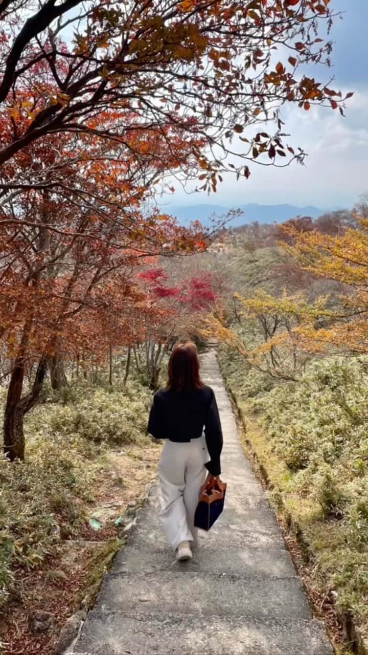 小松﨑花菜のインスタグラム：「撮影 @shinoda_azumi   御在所岳の山頂は綺麗に色づいていました🍁 中継では行ったことがあるけれど、 ロープウェイに乗ったのは初めてでした🚠  以前ドデスカ！でお伝えしましたが、 この白い鉄塔は”日本一高いロープウェイ鉄塔”で、 高さ61mもあるんですよ🗼  #三重 #菰野町 #御在所岳 #紅葉 #秋」