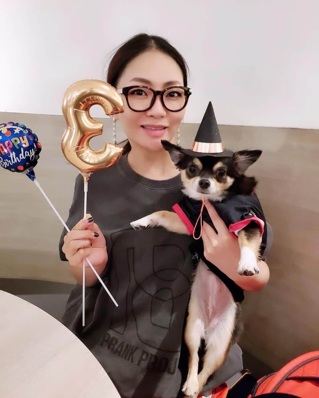 宮本美季さんのインスタグラム写真 - (宮本美季Instagram)「愛犬プーキーは10月31日のHalloween生まれ。今年はミッケナナのライブがあるので、ちょっと早めのBD会。3歳になりました❤️ ワンちゃん用のコースディナーが出てくるお店で，苦手な被り物もしてもらいながら飼い主の自己満に付き合ってもらいました🤣　長生きしてくれーい！ おめでとプーちゃん❤️  #ロングコートチワワ #ブラックタンホワイト #誕生日 #halloween」10月30日 13時51分 - mikivoice