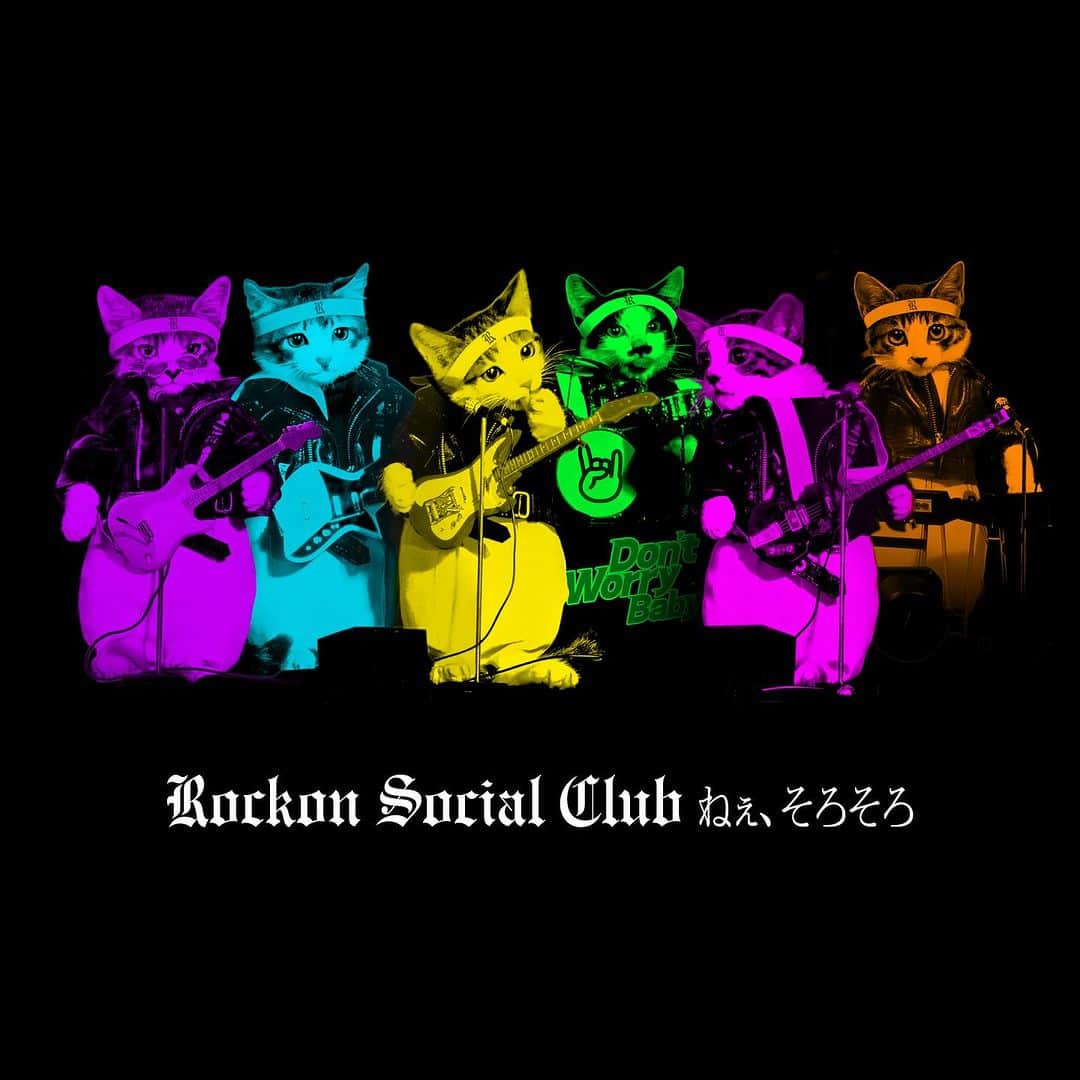 Rockon Social Clubのインスタグラム：「11月 17日（金）発売の2ndアルバム「Don’t Worry Baby」 より、11月3日（金）に先行配信される「ねぇ、そろそろ」のジャケット画像が公開されました！  配信開始まであと4日。 お楽しみに！  #RockonSocialClub #ねぇそろそろ」