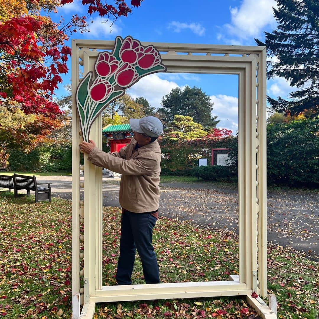 HBC北海道放送アナウンス部さんのインスタグラム写真 - (HBC北海道放送アナウンス部Instagram)「牧野秀章です。  紅葉がきれいですね！ 札幌市北区の百合が原公園でも 見頃を迎えています。 秋の花も一緒に楽しめますよ。  #北海道#札幌#紅葉#世界の庭園#hbc#アナウンサー」10月30日 14時10分 - hbc_announcer
