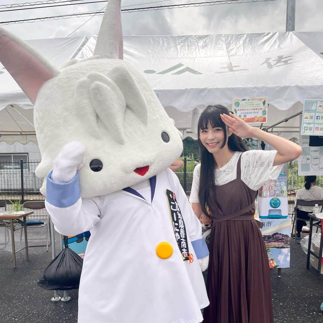 寺嶋由芙さんのインスタグラム写真 - (寺嶋由芙Instagram)「【高知県香南市 こーにゃん】 ・ 地名と名前のリンクがかわいい！前髪もおしゃれ(ﾟωﾟ)前髪は本人もチャームポイントとして気に入ってるらしい(ﾟωﾟ)お耳が長くてうさぎみがありますが、雄猫だそうです(ﾟωﾟ) ・ #高知県 #香南市 #こーにゃん #ゆるキャラ #ご当地キャラ #yuruchara #吉祥物 #ご当地キャラまつりin須崎 #ご当地キャラまつりin須崎2023 #高知県 #須崎市 #すさきがすきさ #ゆっふぃー #アイドル #japaneseidol #idol」10月30日 14時21分 - yufu_terashima