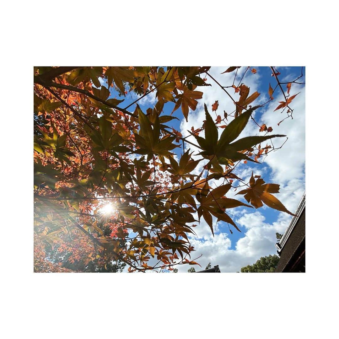 三倉茉奈さんのインスタグラム写真 - (三倉茉奈Instagram)「紅葉と空。 気持ちいい。」10月30日 14時28分 - mana_mikura_official