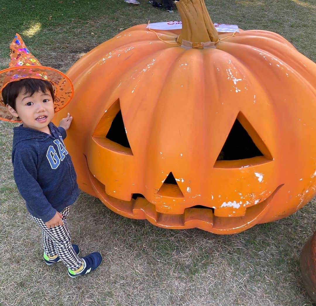 大湯みほのインスタグラム：「………  ✨✨🦹‍♀️🎃Happy〜Halloween👻🦇✨✨  魔女になりきって、かぼちゃ🎃の島へ  2歳になると、もうすっかりと物心もつき👶本気でオバケ👻を怖がり、Halloweenを楽しむというよりは…オドオドしております😂ある意味、成長したんだなぁ🥺お部屋の、飾り付けも手伝ってくれました🙌  去年は、大好きなそらジロー🐣コスプレをしましたが、今年は、もう激しく動いて回るので…きっと、魔女🧙‍♀️の帽子くらいかなぁ〜✨  0才・1才・の時は、まだゆっくり写真も撮れましたが、2才はもう〜激しい😂🙌笑  皆さま、素敵な✨Halloween👻をお過ごし下さい🎃」