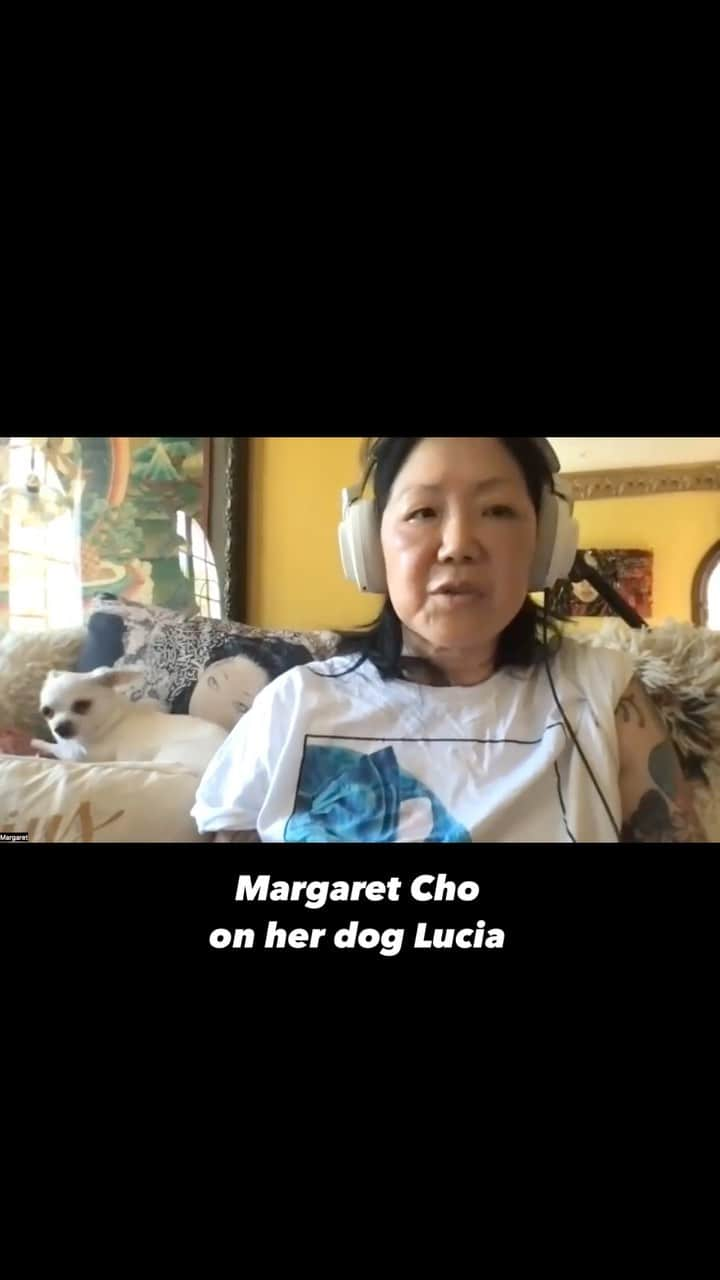 マーガレット・チョーのインスタグラム：「In almost every episode of the Rocker Dog podcast the subject of a dog being beneficial to one’s mental health comes up. This week’s guest Margaret Cho takes it to another level with her dog Lucia and explains how her pup physically helps her when anxiety begins to build. Hear the whole episode wherever you get your podcast.」