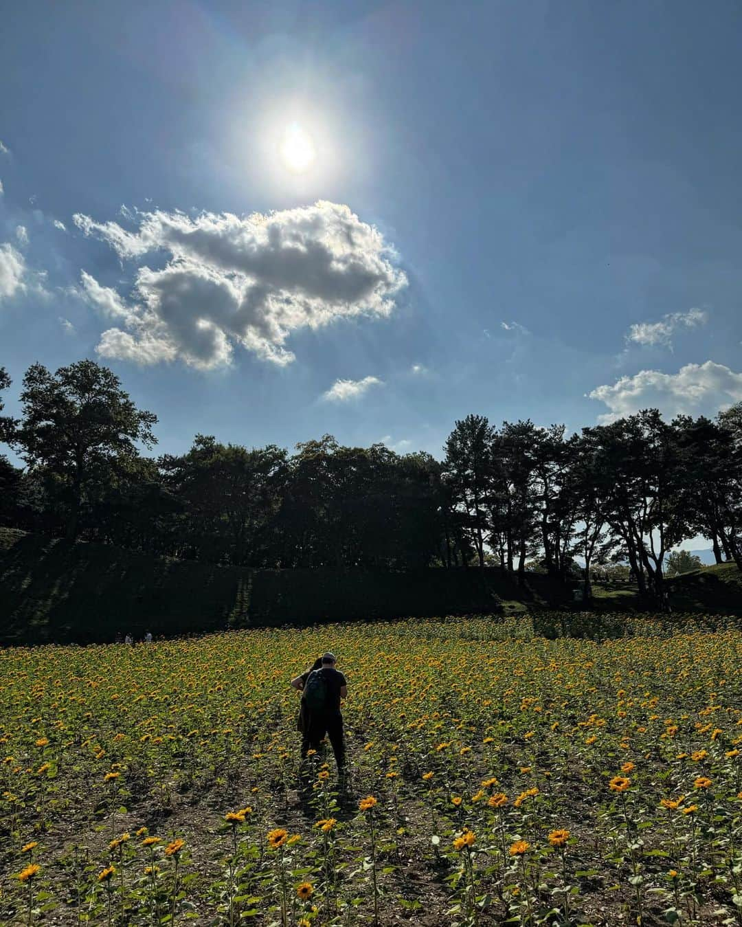 ヒョギさんのインスタグラム写真 - (ヒョギInstagram)「경주 DAY 1.」10月31日 1時05分 - hsh0705