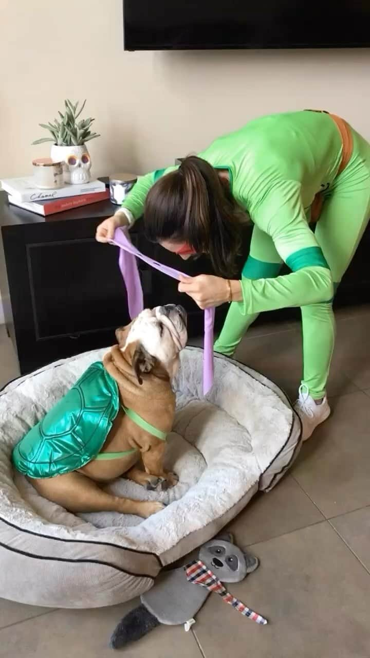 Alexia Clarkのインスタグラム：「What are you going to be for Halloween?!   This is one of my favorite costumes I did with Roxy ❤️🐢 🥷   #ninjaturtles #fitness #fitdogs」