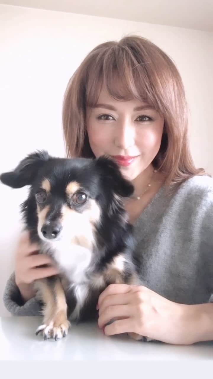 Yuuのインスタグラム：「今日は自ら🐕‍🦺 セルフィーにお付き合いしてくれました💕  だんだん似てきたかな。  さて、夕方になると🌆 ぐっと冷え込んできます。 寒暖差に体調崩さなおよう 気をつけて過ごしてね  今週もよろしくお願いします💕  🦋悠々凜々🦋  いつも見にきてくださる皆さま♡ ふらっとお立ち寄り下さった方々♡  キャプションの最後まで目を通してくださり ありがとうございました♡  皆さまにとって 笑顔の一日となります様に✨  ♡悠々凜々♡  #笑うかどには福来たる #今日1日を大切に　 #アラフィフ　 #大人女子 #selfy   いつも沢山の👍いいね📝&コメント 本当にありがとうございます  とても癒されてます💓」