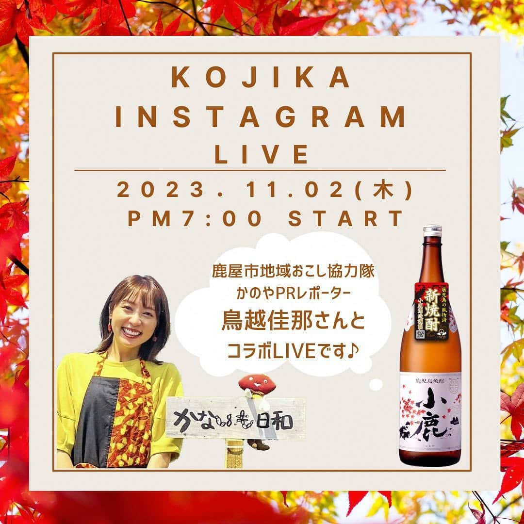 鳥越佳那のインスタグラム：「【インスタライブのお知らせ🍁✨】  🍠小鹿酒造さんとのコラボLIVE♡ 🍠2023年11月2日(木) 🍠PM7:00 Start♪ 🍠配信アカウント▶︎▶︎ @shochu.kojika  ～～～～～～～～～～  11月1日は「本格焼酎の日」。 夏に仕込み始めた新酒が飲める頃だそうです🥃✨  その仕込みの様子を YouTube「かないも日和」で お伝えしましたが その頃の焼酎が完成したとのこと❣️ （YouTubeは @kana_torigoeプロフィールから🐥📲）  小鹿酒造さんの企画でお送りするのは 🍠新焼酎紹介✨ 🍠焼酎に合うスイーツ対決✨ 🍠鳥越おいもクイズ(ただいま考え中🤭) などなど 焼酎ファンもお芋ファンも 楽しめそうな内容ですね😍✨  当日はゲストとしておじゃまさせていただきます🥰 どんな焼酎やお料理が待っているんでしょうか〜🤤 プロの方のお話しをききながら みなさん一緒に乾杯しましょ～🥂 (素敵な告知用画像まで作っていただきました😳ありがとうございます✨) . . #鹿児島県 #大隅半島 #鹿屋 #鹿屋イベント #2023焼酎小鹿  #インスタライブ #コラボライブ #焼酎 #本格焼酎の日 #焼酎小鹿 #小鹿酒造 #さつまいも #焼酎好きな人と繋がりたい #芋焼酎好きな人と繋がりたい #地域おこし協力隊 #かのやPRレポーター #さつまいもアナウンサー」