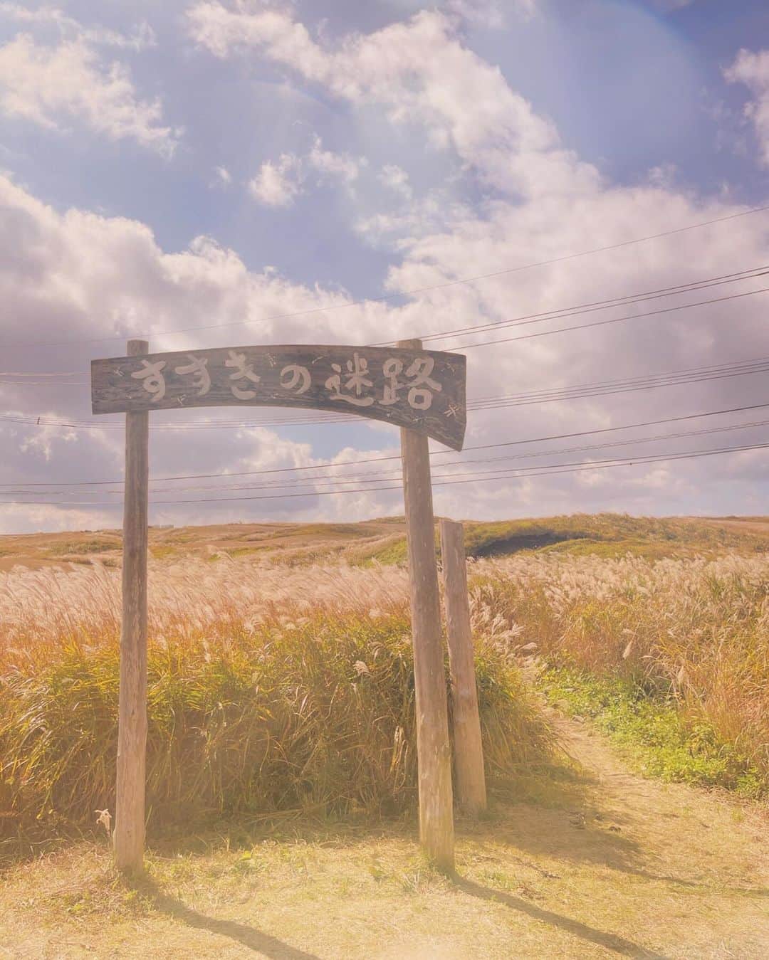 スザンヌさんのインスタグラム写真 - (スザンヌInstagram)「熊本の秋を感じるだいすきな場所🌾 #すすきの迷路   ススキの花言葉たくさんあるけど好きなのは 「生命力」「心が通じる」「悔いのない青春」  阿蘇の壮観な大草原を走る、ミルクロード。沿道のかぶと岩展望所のそばに、  期間限定で登場するすすきの迷路   大人の胸くらいまで伸びたススキを刈り払いして作られるこの迷路、 Aコース300m 、Bコース150mって２つあってね、 子供はもちろん、大人も童心に返って楽しめる遊び場🌾 ただ本気で迷子なるよ笑笑  野草も途中途中愛でながら、 迷路と一緒に自然散策も🪻 11月上旬くらいまでみたい。 無料で楽しめて最高！  写真撮るのにもおすすめの場所だよ〜  本気で迷路挑戦する時は、長袖長ズボンをおすすめします🙏☜（最近寒いから大丈夫か🙆‍♀️）  @fanfan_closet の🧥今年はこれにしたの♡ぬくぬくあったかい🐻  いい日だったなぁ🌞  #熊本旅行 #熊本 #kumamoto #aso #阿蘇 #ミルクロード #かぶと岩展望所展望台 #すすきの迷路」10月30日 17時37分 - suzanneeee1028