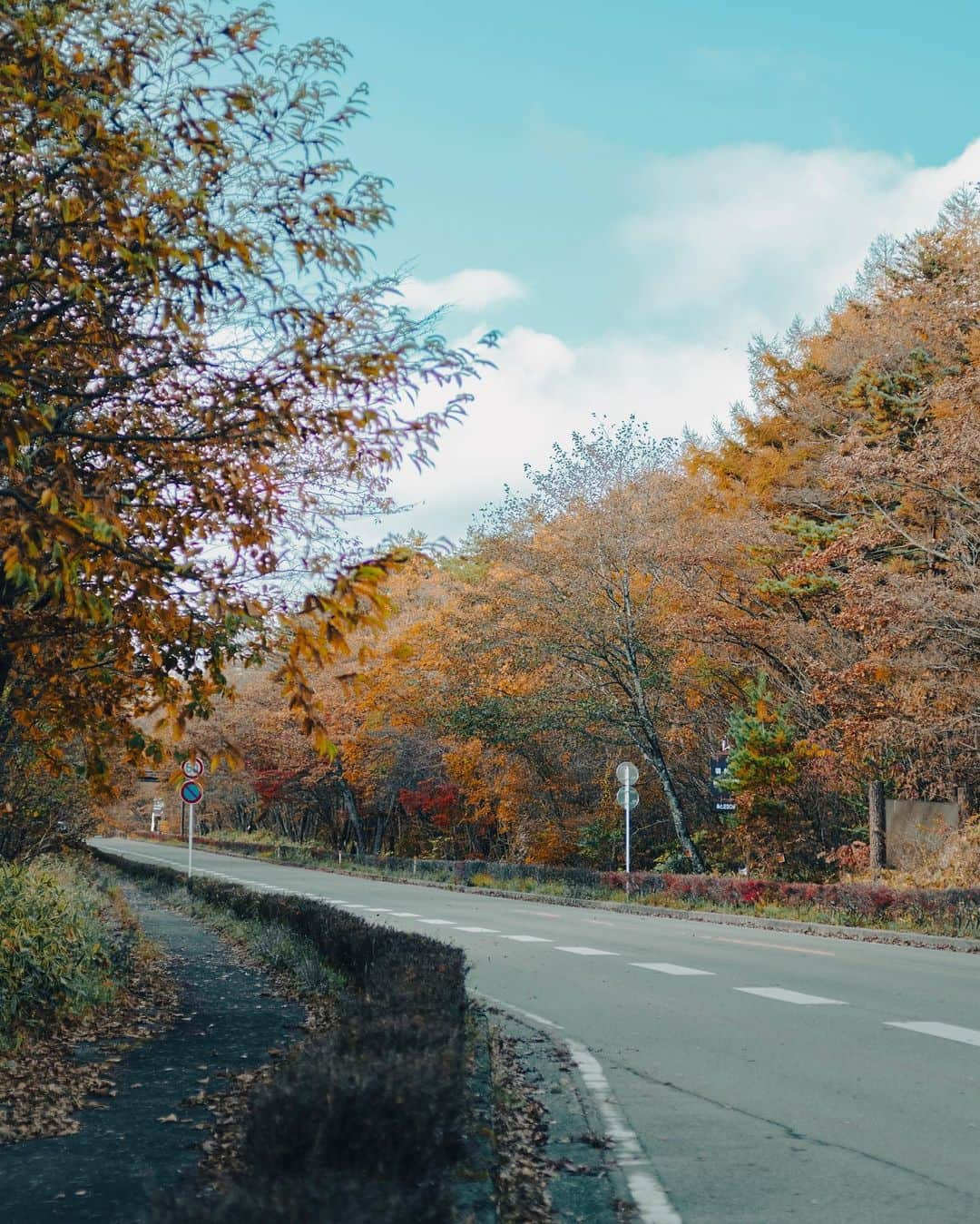 国分真央さんのインスタグラム写真 - (国分真央Instagram)「. 山梨も紅葉深まってます🐏...🍂 昨日は清里〜八ヶ岳コースでした◯ ⁡ (小さい頃、清里は長野県だと思っていた🤤笑) ⁡ 飼育員さんがいないのに、 一列になってお家？にご帰宅中の ひつじさん可愛かったです😉」10月30日 17時48分 - mao_kokubu