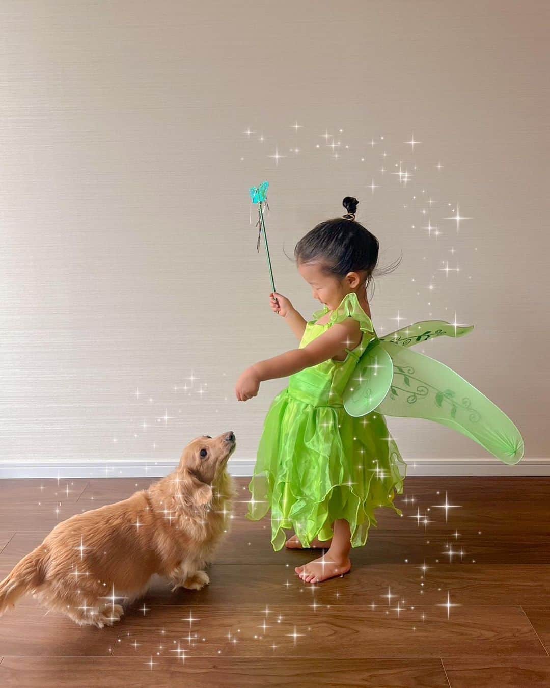 林弓束さんのインスタグラム写真 - (林弓束Instagram)「. 毎年恒例のじーやとのハロウィンも ピーターパンで🧚 なんか今までで一番ふつうな感じ笑笑 . ラスト4枚は4年間を振り返ってみました。笑 やっぱり初年度の坊が優勝だね🏆笑 . じーやは、もはや半分顔出てなかった。笑 だれでもいいやん笑 . . . . . #孫ハロウィン #ハロウィン仮装 #家族ハロウィン #親子ハロウィン #ハロウィン親子 #祖父と孫 #ピーターパン仮装 #ピーターパン不在 #ティンカーベル #ウェンディ #フック船長 #3歳女の子 #女の子ママ  #2020年5月生まれ  #ママと娘 #母娘」10月30日 17時44分 - hayashiyuzuka