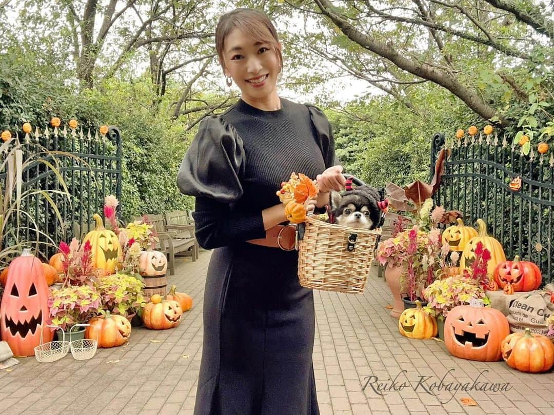 小早川怜子のインスタグラム：「明日は  Halloween🎃💕  月水金　18時は オンリーファンズアップの日  ファンティアもよろしくね💋  今夜も見てね〜😘  #小早川怜子 #reikokobayakawa  #カプセルエージェンシー」