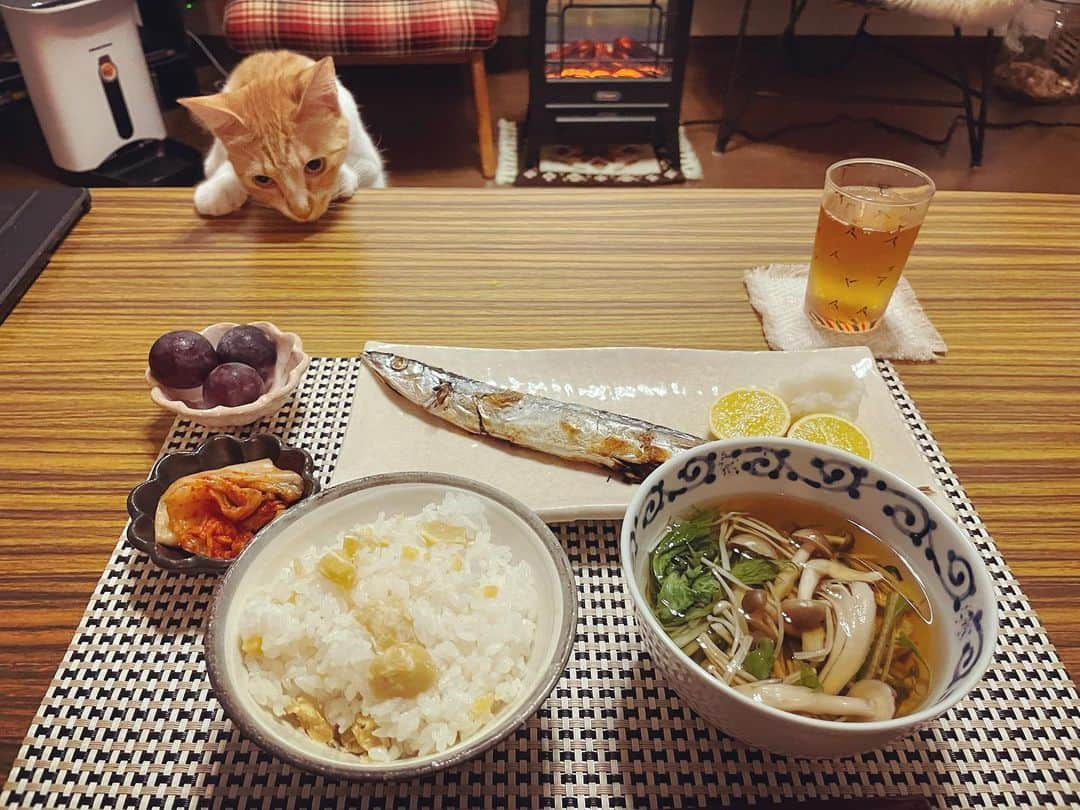 入山法子さんのインスタグラム写真 - (入山法子Instagram)「朝ごはんとか晩ごはんとか。 なにかを取り戻すかのように秋を食しています🍁  ❶さんまを狙ってると見せかけて ❷ブドウに手を出すおツナ。笑 ❸栗ごはん炊いてん。 ❹松茸いただいてん！ ❺シンプルに網焼き… ❻贅沢にしゃぶしゃぶ！(写真分かりづらくてすみません😂) ❼きのこそば。しょうがたっぷり。 ❽沖島ファームさんのピオーネ。キウイと。チーズと。 ❾れんこん、南瓜、とりささみの秋マリネ。 ➓パンケーキ焼くのは特技といって良いと思ってる🥞  あ！っという間に10月も終わりだ。 まだまだ楽しいことしちゃうよ！🍂🍠🍙」10月30日 18時05分 - iriyamanoriko_official