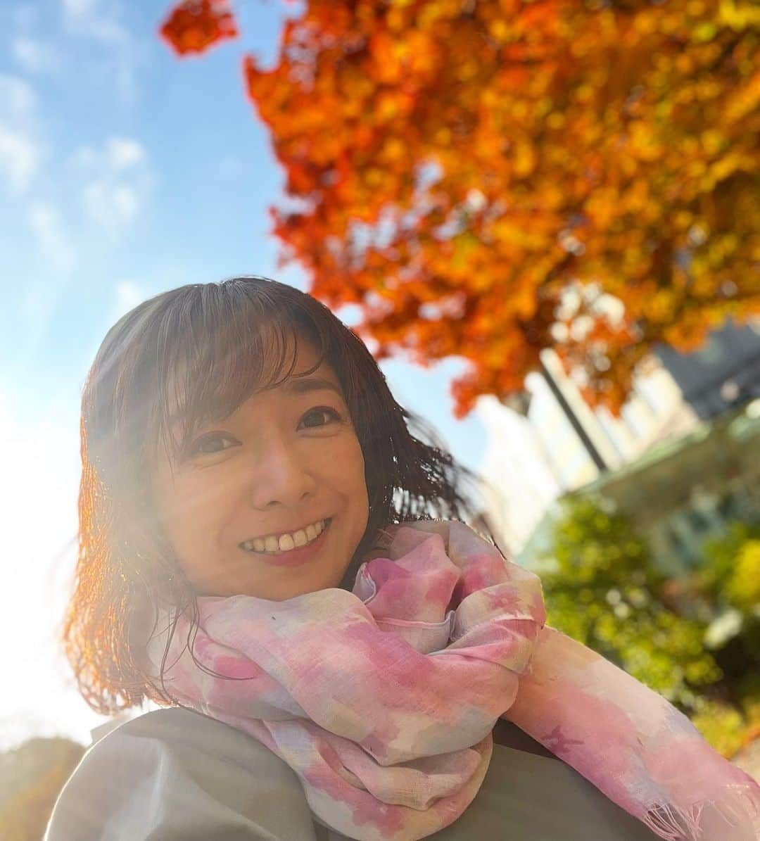 佐藤彩さんのインスタグラム写真 - (佐藤彩Instagram)「大通公園の紅葉も見頃ですね🍁  鮮やかさでいうと逆光ではないけど やっぱり逆光写真の光の感じが好きです☺️  . 素敵な紅葉写真を撮りたい！ と意気込みましたが  アレがいっぱい写った写真が1番幻想的で 今年の秋を象徴する一枚になった気がします😂 .  #大通公園 #札幌 #紅葉 #見頃 #今日も虫がいっぱい #紅葉と私 #今年も撮りました！笑 #逆光 #逆光好き #写真上手になりたい」10月30日 18時05分 - hbc_ayasato