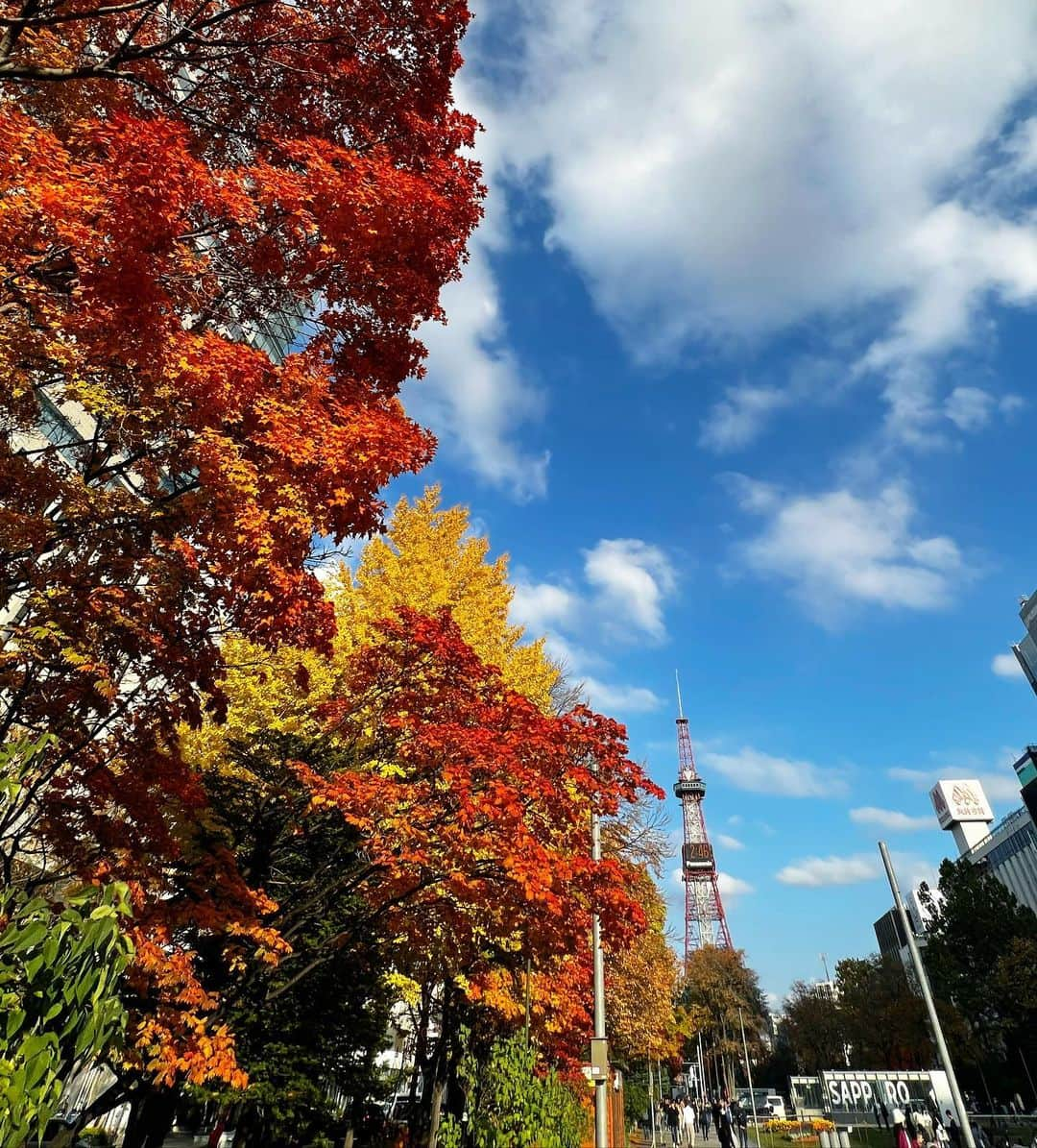 佐藤彩さんのインスタグラム写真 - (佐藤彩Instagram)「大通公園の紅葉も見頃ですね🍁  鮮やかさでいうと逆光ではないけど やっぱり逆光写真の光の感じが好きです☺️  . 素敵な紅葉写真を撮りたい！ と意気込みましたが  アレがいっぱい写った写真が1番幻想的で 今年の秋を象徴する一枚になった気がします😂 .  #大通公園 #札幌 #紅葉 #見頃 #今日も虫がいっぱい #紅葉と私 #今年も撮りました！笑 #逆光 #逆光好き #写真上手になりたい」10月30日 18時05分 - hbc_ayasato