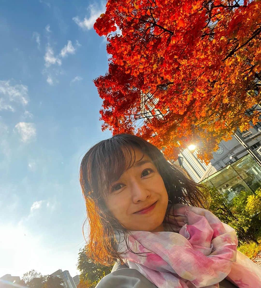 佐藤彩さんのインスタグラム写真 - (佐藤彩Instagram)「大通公園の紅葉も見頃ですね🍁  鮮やかさでいうと逆光ではないけど やっぱり逆光写真の光の感じが好きです☺️  . 素敵な紅葉写真を撮りたい！ と意気込みましたが  アレがいっぱい写った写真が1番幻想的で 今年の秋を象徴する一枚になった気がします😂 .  #大通公園 #札幌 #紅葉 #見頃 #今日も虫がいっぱい #紅葉と私 #今年も撮りました！笑 #逆光 #逆光好き #写真上手になりたい」10月30日 18時05分 - hbc_ayasato