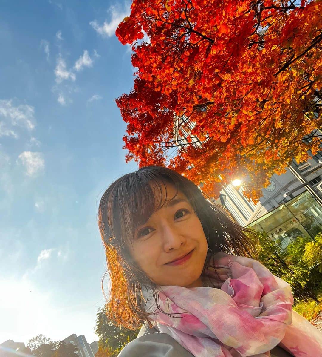 佐藤彩のインスタグラム：「大通公園の紅葉も見頃ですね🍁  鮮やかさでいうと逆光ではないけど やっぱり逆光写真の光の感じが好きです☺️  . 素敵な紅葉写真を撮りたい！ と意気込みましたが  アレがいっぱい写った写真が1番幻想的で 今年の秋を象徴する一枚になった気がします😂 .  #大通公園 #札幌 #紅葉 #見頃 #今日も虫がいっぱい #紅葉と私 #今年も撮りました！笑 #逆光 #逆光好き #写真上手になりたい」