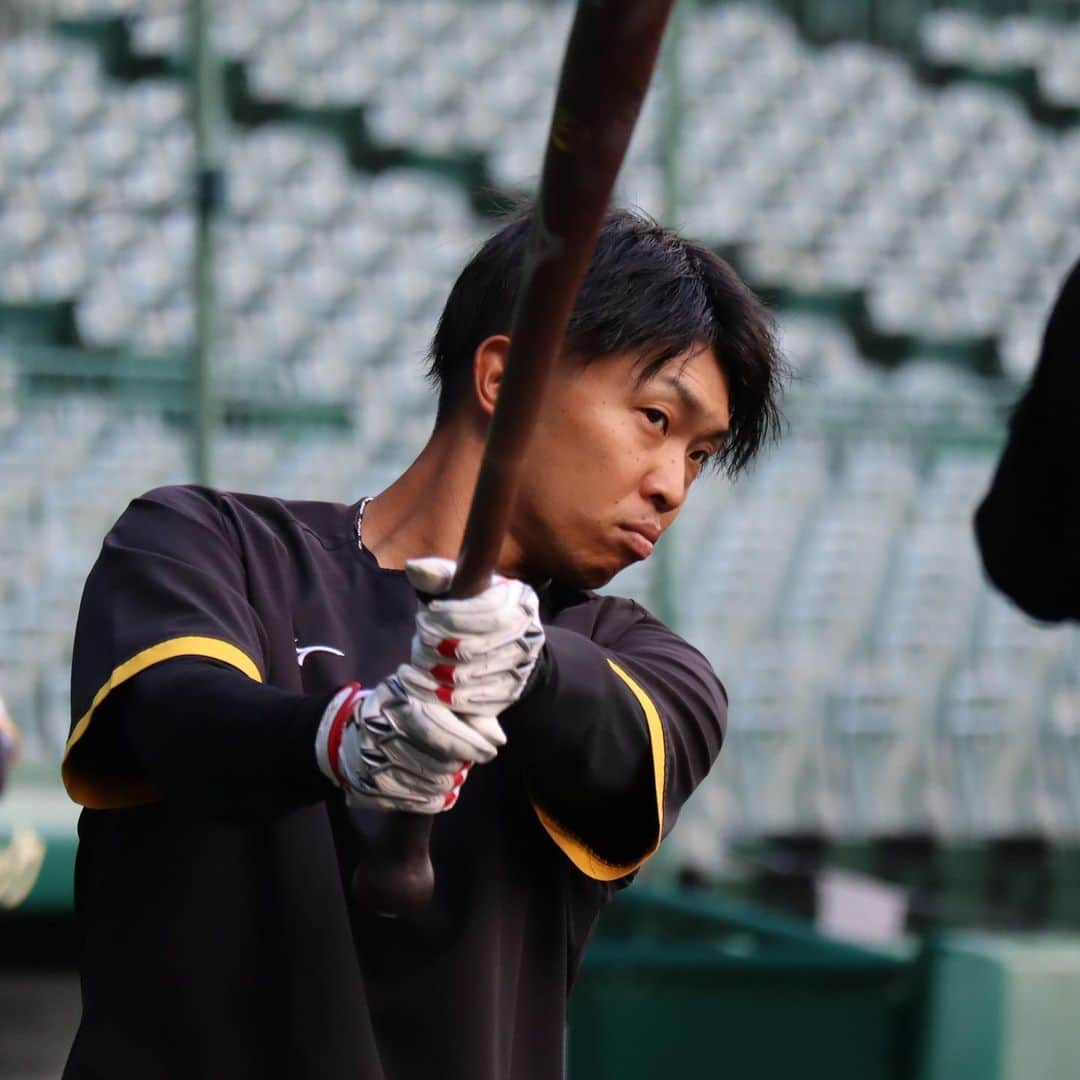 阪神タイガースさんのインスタグラム写真 - (阪神タイガースInstagram)「10月30日、甲子園球場での練習の様子です！ #中野拓夢 選手 #坂本誠志郎 選手 #小野寺暖 選手 #糸原健斗 選手 #熊谷敬宥 選手 #島田海吏 選手 #才木浩人 選手 #大竹耕太郎 選手 #原口文仁 選手 #近本光司 選手 #桐敷拓馬 選手 #阪神タイガース #SMBC日本シリーズ #関西ダービー」10月30日 18時06分 - hanshintigers_official