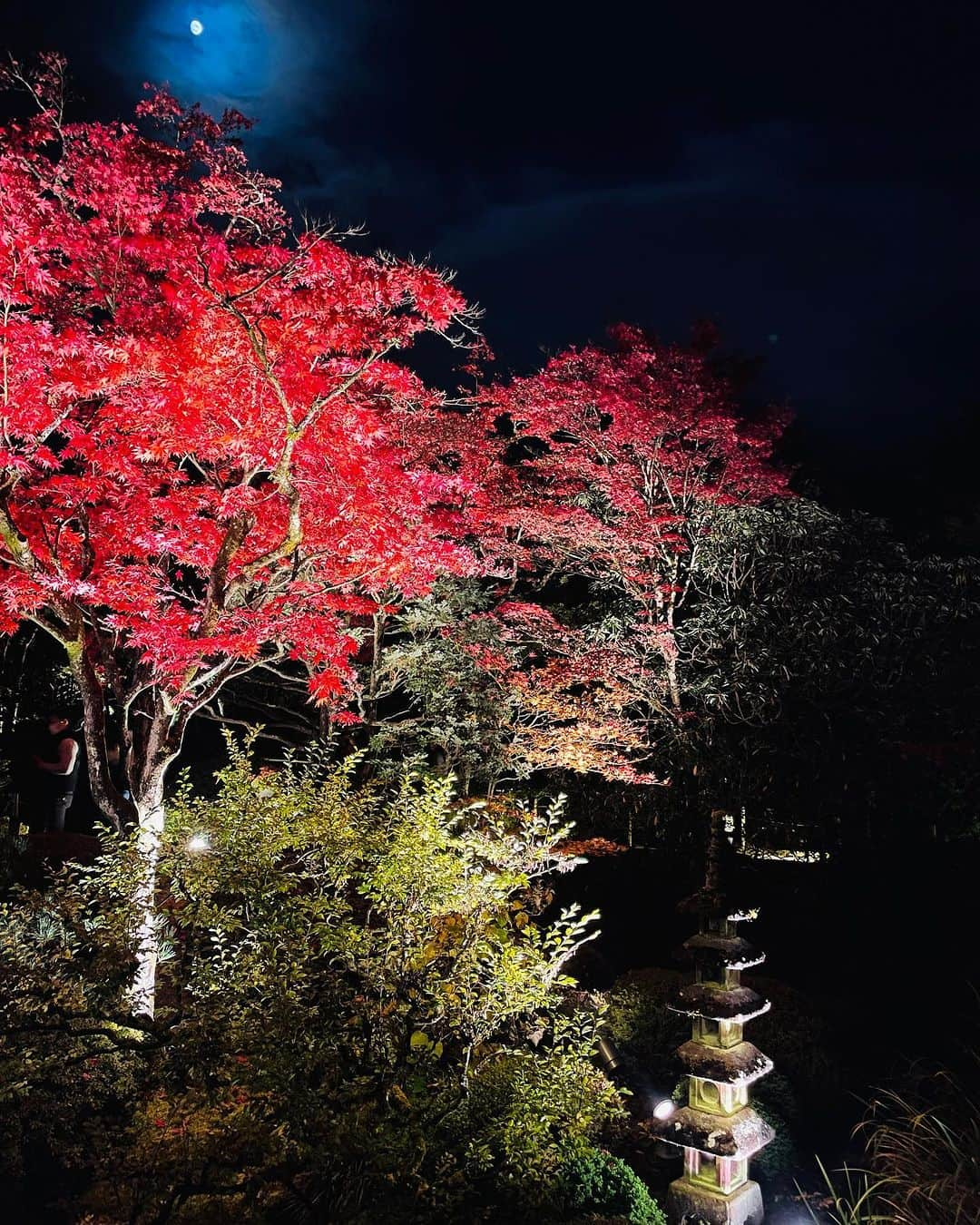 TOBU RAILWAY（東武鉄道）さんのインスタグラム写真 - (TOBU RAILWAY（東武鉄道）Instagram)「. . 📍Nikko – Illuminated Nikko The shrines and temples of Nikko, which are a World Heritage, stand out in the night . From November 3 to 5, 2023, illumination displays will be held at Nikko Toshogu, Nikko Futarasan Shrine, and Mt. Nikko’s Rinnoji Temple. These World Heritage buildings stand out against the dark autumn sky, producing a fantastical world completely different from how they look during the day. Enjoy the wondrous scenery of the illuminated shrines and temples of Nikko, which are a World Heritage! 📷by @ok.chan.ok Thank you! . . . . Please comment "💛" if you impressed from this post. Also saving posts is very convenient when you look again :) . . #visituslater #stayinspired #nexttripdestination . . #nikko #illumination #world #heritage #recommend #japantrip #travelgram #tobujapantrip #unknownjapan #jp_gallery #visitjapan #japan_of_insta #art_of_japan #instatravel #japan #instagood #travel_japan #exoloretheworld #ig_japan #explorejapan #travelinjapan #beautifuldestinations #toburailway #japan_vacations」10月30日 18時00分 - tobu_japan_trip