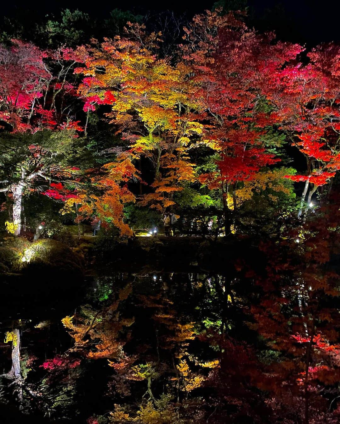 TOBU RAILWAY（東武鉄道）さんのインスタグラム写真 - (TOBU RAILWAY（東武鉄道）Instagram)「. . 📍Nikko – Illuminated Nikko The shrines and temples of Nikko, which are a World Heritage, stand out in the night . From November 3 to 5, 2023, illumination displays will be held at Nikko Toshogu, Nikko Futarasan Shrine, and Mt. Nikko’s Rinnoji Temple. These World Heritage buildings stand out against the dark autumn sky, producing a fantastical world completely different from how they look during the day. Enjoy the wondrous scenery of the illuminated shrines and temples of Nikko, which are a World Heritage! 📷by @ok.chan.ok Thank you! . . . . Please comment "💛" if you impressed from this post. Also saving posts is very convenient when you look again :) . . #visituslater #stayinspired #nexttripdestination . . #nikko #illumination #world #heritage #recommend #japantrip #travelgram #tobujapantrip #unknownjapan #jp_gallery #visitjapan #japan_of_insta #art_of_japan #instatravel #japan #instagood #travel_japan #exoloretheworld #ig_japan #explorejapan #travelinjapan #beautifuldestinations #toburailway #japan_vacations」10月30日 18時00分 - tobu_japan_trip