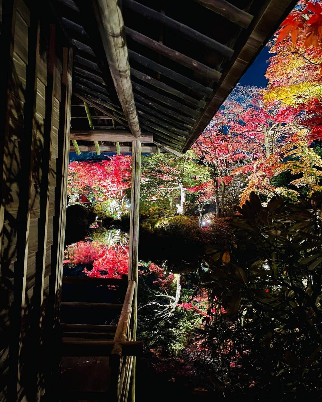 TOBU RAILWAY（東武鉄道）さんのインスタグラム写真 - (TOBU RAILWAY（東武鉄道）Instagram)「. . 📍Nikko – Illuminated Nikko The shrines and temples of Nikko, which are a World Heritage, stand out in the night . From November 3 to 5, 2023, illumination displays will be held at Nikko Toshogu, Nikko Futarasan Shrine, and Mt. Nikko’s Rinnoji Temple. These World Heritage buildings stand out against the dark autumn sky, producing a fantastical world completely different from how they look during the day. Enjoy the wondrous scenery of the illuminated shrines and temples of Nikko, which are a World Heritage! 📷by @ok.chan.ok Thank you! . . . . Please comment "💛" if you impressed from this post. Also saving posts is very convenient when you look again :) . . #visituslater #stayinspired #nexttripdestination . . #nikko #illumination #world #heritage #recommend #japantrip #travelgram #tobujapantrip #unknownjapan #jp_gallery #visitjapan #japan_of_insta #art_of_japan #instatravel #japan #instagood #travel_japan #exoloretheworld #ig_japan #explorejapan #travelinjapan #beautifuldestinations #toburailway #japan_vacations」10月30日 18時00分 - tobu_japan_trip