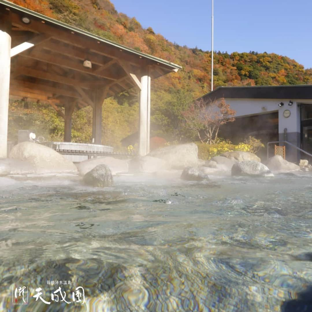 【公式】箱根湯本温泉 天成園のインスタグラム：「♨ 天成園の1番の魅力といえば、もちろん  ♨️大浴場♨️  山々の景色を眺めながら温泉でゆっくり疲れを癒すのも良いですが じっくりサウナで汗をかいた後に ひろ〜い秋の空を見上げながら、整うのも気持ち良いですよ〜🤤  ちなみに、アカスリ後のサウナはいつもより汗が出てるとか◎  ぜひお試しください♪  #箱根 #箱根湯本 #天成園 #箱根湯本温泉 #天成園箱根湯本 #温泉 #本格温泉 #箱根ホテル #箱根旅館 #箱根旅行 #旅行 #個室 #貸し切り #レンタル浴衣 #露天風呂 #日本庭園 #神社 #滝 #日帰り温泉 #hakone #onsen #あかすり #ウェルネス」