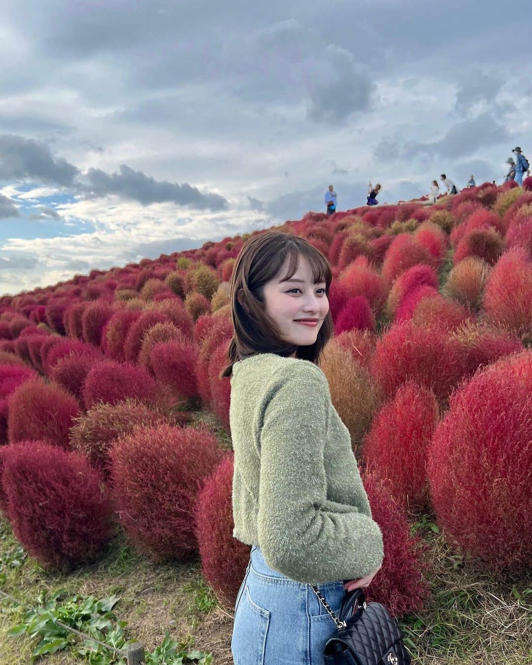 福山絢水のインスタグラム：「莉子とコキア旅🍂  タイミングよく真っ赤なコキアに会えた~♡  二人乗り自転車でぐるぐる回るんだけど、だいぶ体力いる笑 莉子めっちゃ頑張ってくれた笑」