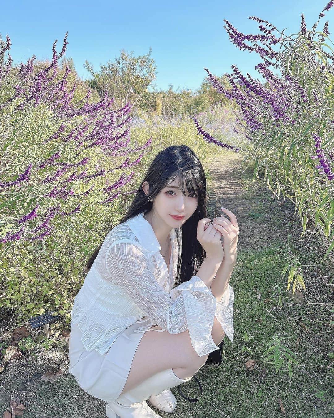れみぱんのインスタグラム：「秋の花💐」