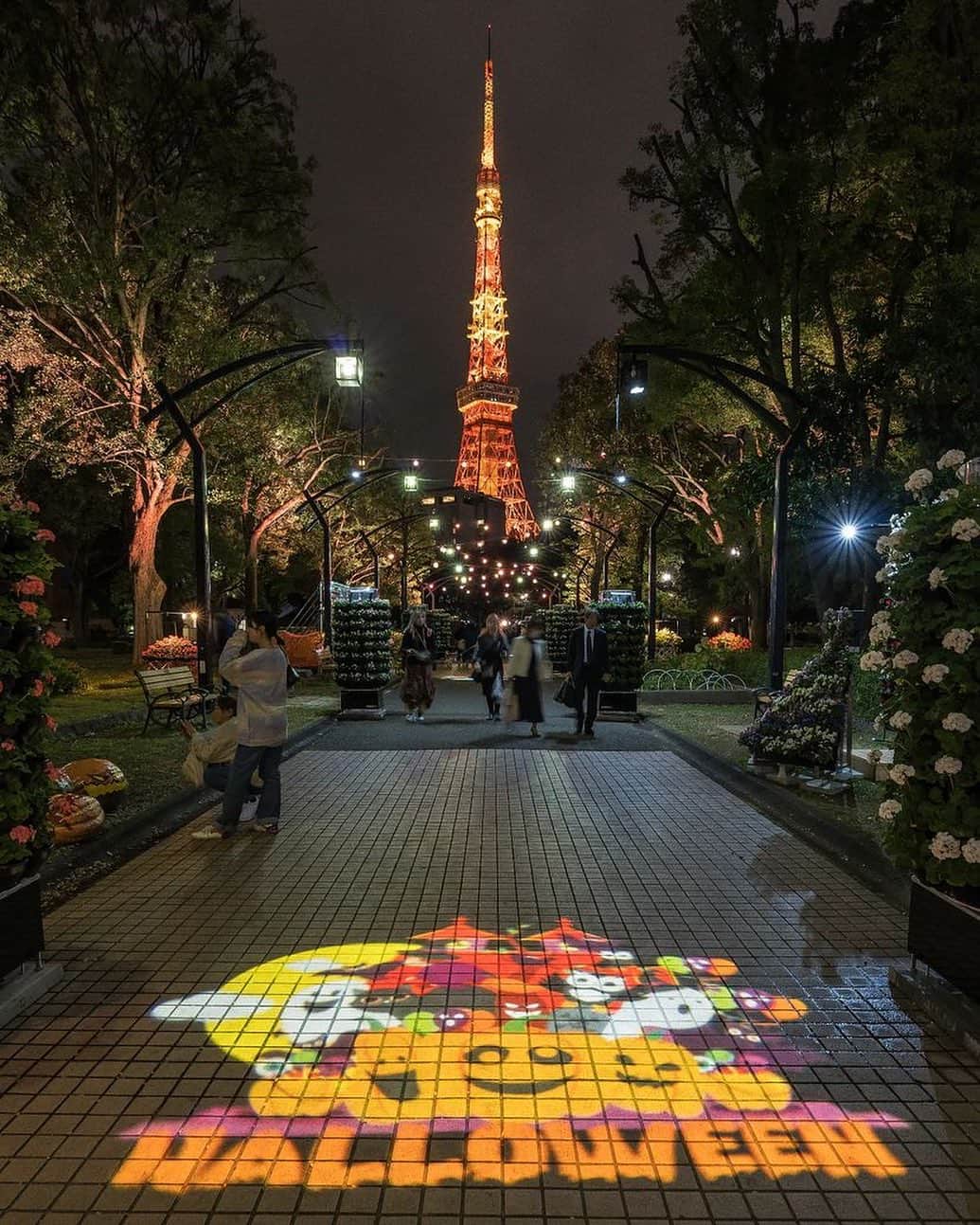 東京タワーのインスタグラム：「. 明日、10月31日（火）は ハロウィンです❗️🎃👻  現在、150周年を迎える芝公園では、 特設花壇 & ライトアップが美しい 「花と光のムーブメント」が開催されています。  そして明日は日没から22時まで、 東京タワー🗼もハロウィンライトアップで輝きます！ 芝公園とのコラボ写真が楽しみですね〜✨  本日は、Your Tokyo Tower🗼から @i5642o さんの写真をご紹介！  素敵なお写真をありがとうございました😊  ———————————  【 お知らせ 】  🆕 TikTok  東京タワーの公式TikTokアカウントが 開設されました！  詳細はプロフィールにあるリンクから↓ @tokyotower_official  ■ 公式LINE  東京タワー公式LINEでは 東京タワーのイベント情報を お届けしています！  詳細はプロフィールにあるリンクから↓ @tokyotower_official  ■ Your Tokyo Tower 🗼  # your_tokyotowerで あなたの東京タワーをリポスト！  @tokyotower_official の タグ付けをしてくれると見つけやすいよ！  皆様からの投稿 どしどしお待ちしております！  ———————————  #東京タワー #東京タワー🗼  #tokyotower #tokyotower🗼  #ハロウィン #halloween」