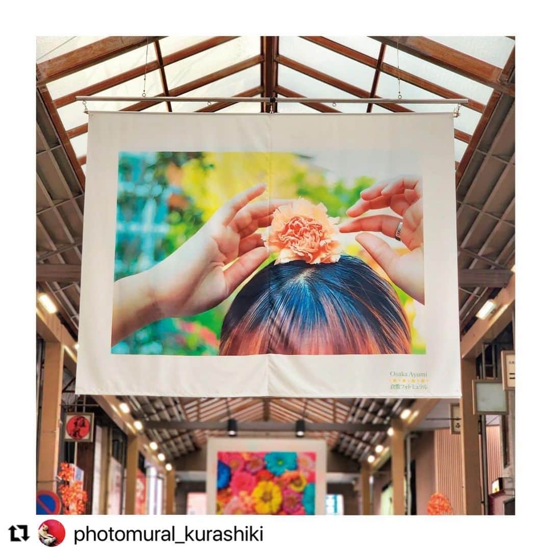 倉敷市さんのインスタグラム写真 - (倉敷市Instagram)「#クラシキブンカ に投稿された作品からいいなと思う作品をリポストさせてもらっています。  @photomural_kurashikiさんの作品です。 よろしくお願いします。  #Repost @photomural_kurashiki with @use.repost ・・・ 【2023年　最後の倉敷フォトミュラルの展示風景】 ただ今開催中の #倉敷フォトミュラル 選出作品を紹介します🎞 素敵な写真作品と商店街の雰囲気を楽しんでいただけると幸いです✨  ———————————— 📷撮影者：Osaka Ayumi さん （コメント）ちょこっと頭に花を乗せてみた、そんな女性の行動に華やかさを感じました。お花に目がいく美しい構図がとても魅力的ですね🌸 （コメントby @sakura_opu） ————————————  20周年を迎える2023年の倉敷フォトミュラルのテーマは「華」「ねこ」です。 倉敷の商店街を彩る、最後のフォトミュラルをぜひご覧ください🌄  開催日時 【華展・ねこらいふ展in倉敷駅前アーケード】 2023年　10/25(水)〜11/13(月) 【ねこらいふ展in天満屋倉敷店2F】 2023年　10/28(土)〜11/10(金)  ※本展についての詳細はwebサイトからご覧いただけます。  #岡山 #倉敷 #美観地区 #写真イベント #写真好きな人と繋がりたい #カメラ好きな人と繋がりたい #倉敷商店街 #okayama #kurashiki #にゃんすたぐらむ #猫のいる暮らし #カメラ #一眼レフのある生活 #倉敷旅行 #岡山旅行 #岡山県立大学 #デザイン学部 #SAKURAProject #クラシキブンカ #写真展 #写真応募 #コンペ #公募展」10月30日 18時43分 - kurashiki_city