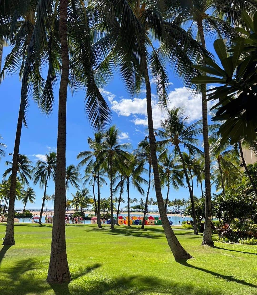 黒木なつみさんのインスタグラム写真 - (黒木なつみInstagram)「⁡ Heaven🕊️🌿☀️🌺🌊🤙✨ ⁡ 今日はTARGET行って、Waimanalo  beachへ 海が綺麗すぎた💚🩵💙 ちーこのベテラン感 #4枚目 ⁡ 砂が気持ち良いから砂遊び ねーねはずっと波へ向かっていた🐳 ⁡ #Hawaii#Family#trip #waimanalo#beach」10月30日 18時57分 - natsumi0086