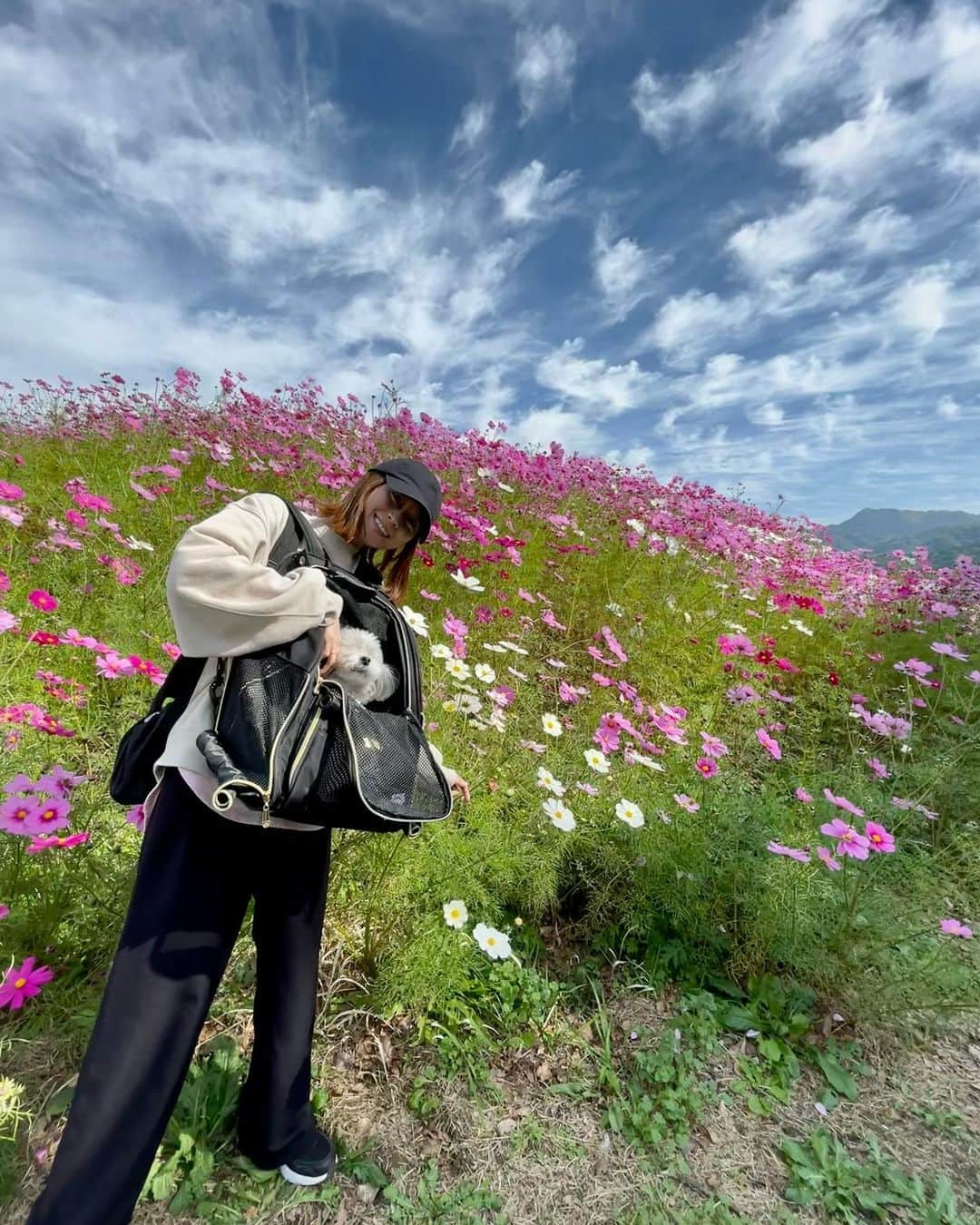 小坂温子のインスタグラム：「秋桜🌸綺麗でした😌✨ 黒糖きなこのジェラートも美味しかった🤤🍨 熊本の良い場所また見つけた👏 お母さんナイスぅ〜👍 #母娘旅行  #ありがとう  #良い景色 #素敵な場所  #目の保養 #お花畑  #秋桜 #秋桜畑  #コスモス #ジェラート  #黒糖きなこ  #道の駅 #あそぼうの郷くぎの  #ドライブデート」