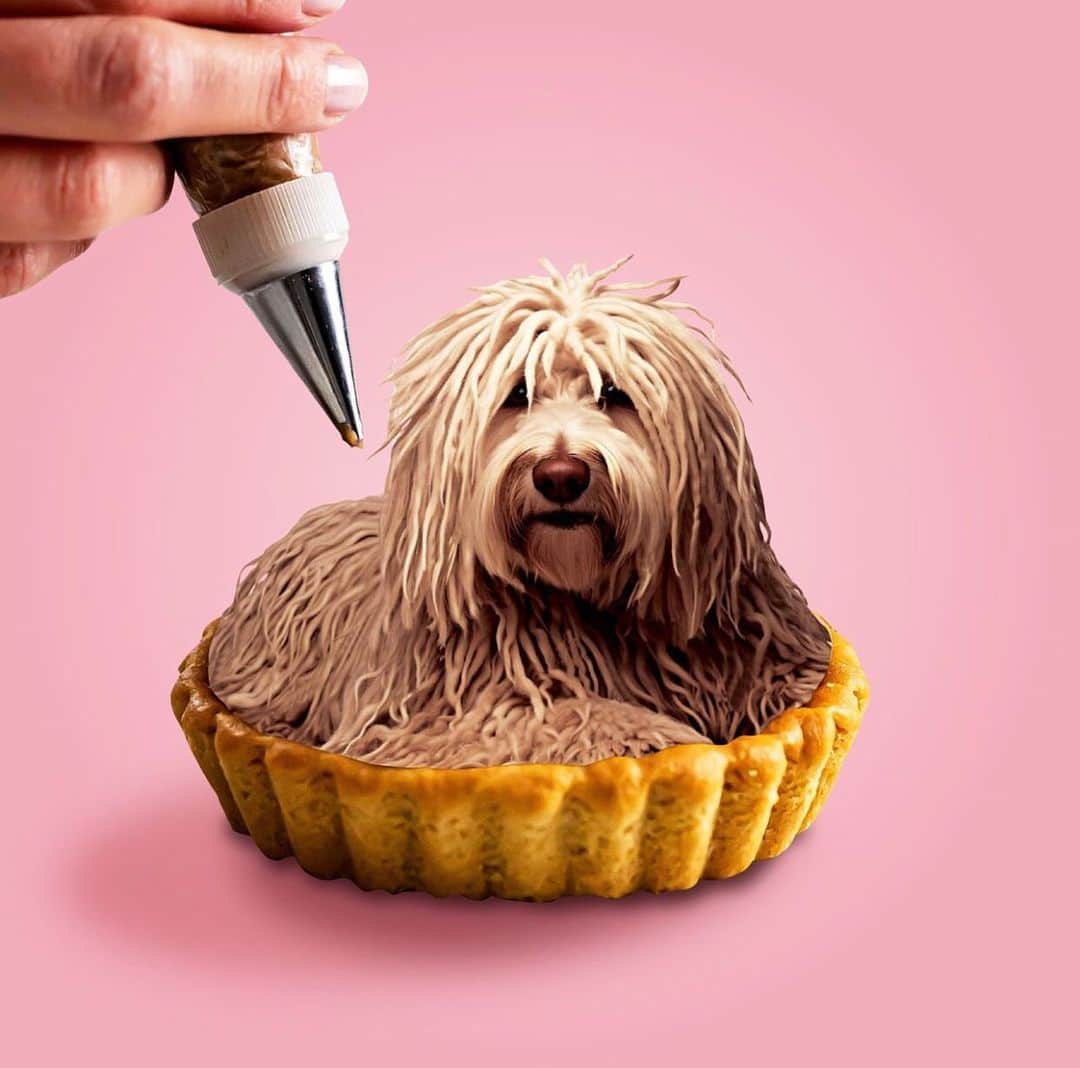 高岡周策のインスタグラム：「Very cute Chestnut cream cake. #collageart」