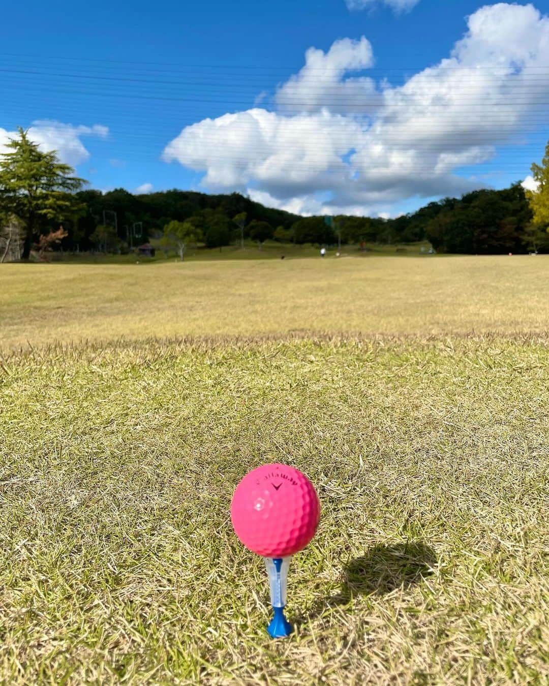 海江田麻貴さんのインスタグラム写真 - (海江田麻貴Instagram)「ㅤㅤㅤㅤㅤ ㅤㅤㅤㅤㅤ やっとこさコースでびゅーしました🔰 初めてのラウンドはめーーーちゃくちゃ楽しかったです🤍 ㅤㅤㅤㅤㅤ ㅤㅤㅤㅤㅤ 動画はコース初ショット🐶 フォームへなちょこやけど飛んだのでハッピー✌️笑笑 自然の中なのも気持ちいいし、 走るんも楽しいしゴルフさいこうでした⛳️ ㅤㅤㅤㅤㅤ ㅤㅤㅤㅤㅤㅤㅤㅤㅤ　 気持ちいい季節のうちにたくさん行きたいな〜🍃🍂ハーフで😇笑 これからもレッスンがんばります🏌️‍♀️🤍 ㅤㅤㅤㅤㅤㅤㅤㅤㅤㅤ ㅤㅤㅤㅤㅤ ㅤㅤㅤㅤㅤ ㅤㅤㅤㅤㅤ ㅤㅤㅤㅤㅤ ㅤㅤㅤㅤㅤ #ゴルフ #ゴルフ女子 #eimygolf #golf #コースデビュー #ゴルフ初心者 #ゴルフウェア #ゴルフ場 #pearlygates #パーリーゲイツ #japanesegirl #日本女孩 #mutamarine」10月30日 19時28分 - _makiii0924_