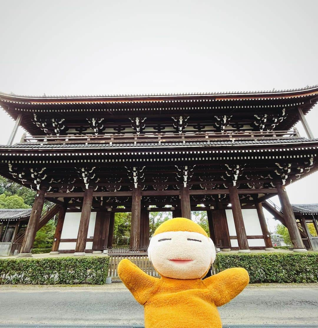 水谷さるころさんのインスタグラム写真 - (水谷さるころInstagram)「弾丸京都。東福寺にも行って来ました。東福寺、初めて行ったんだけど…すごくよかった〜。三門いかついしかっこいい。本堂も天井の龍もめちゃくちゃかっこいいし、何もかも大きくてびっくりした。庭もどこを撮ってもフォトジェニック。デザインが本当に素晴らしい。京都は見るところいっぱいだなと思う。」10月30日 19時42分 - salucoro