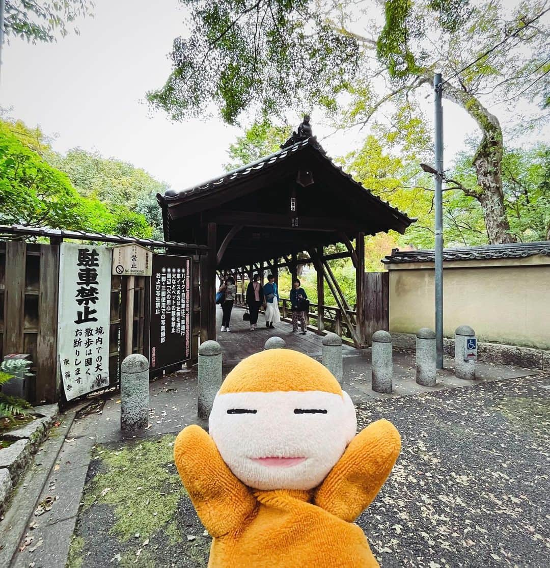 水谷さるころさんのインスタグラム写真 - (水谷さるころInstagram)「弾丸京都。東福寺にも行って来ました。東福寺、初めて行ったんだけど…すごくよかった〜。三門いかついしかっこいい。本堂も天井の龍もめちゃくちゃかっこいいし、何もかも大きくてびっくりした。庭もどこを撮ってもフォトジェニック。デザインが本当に素晴らしい。京都は見るところいっぱいだなと思う。」10月30日 19時42分 - salucoro